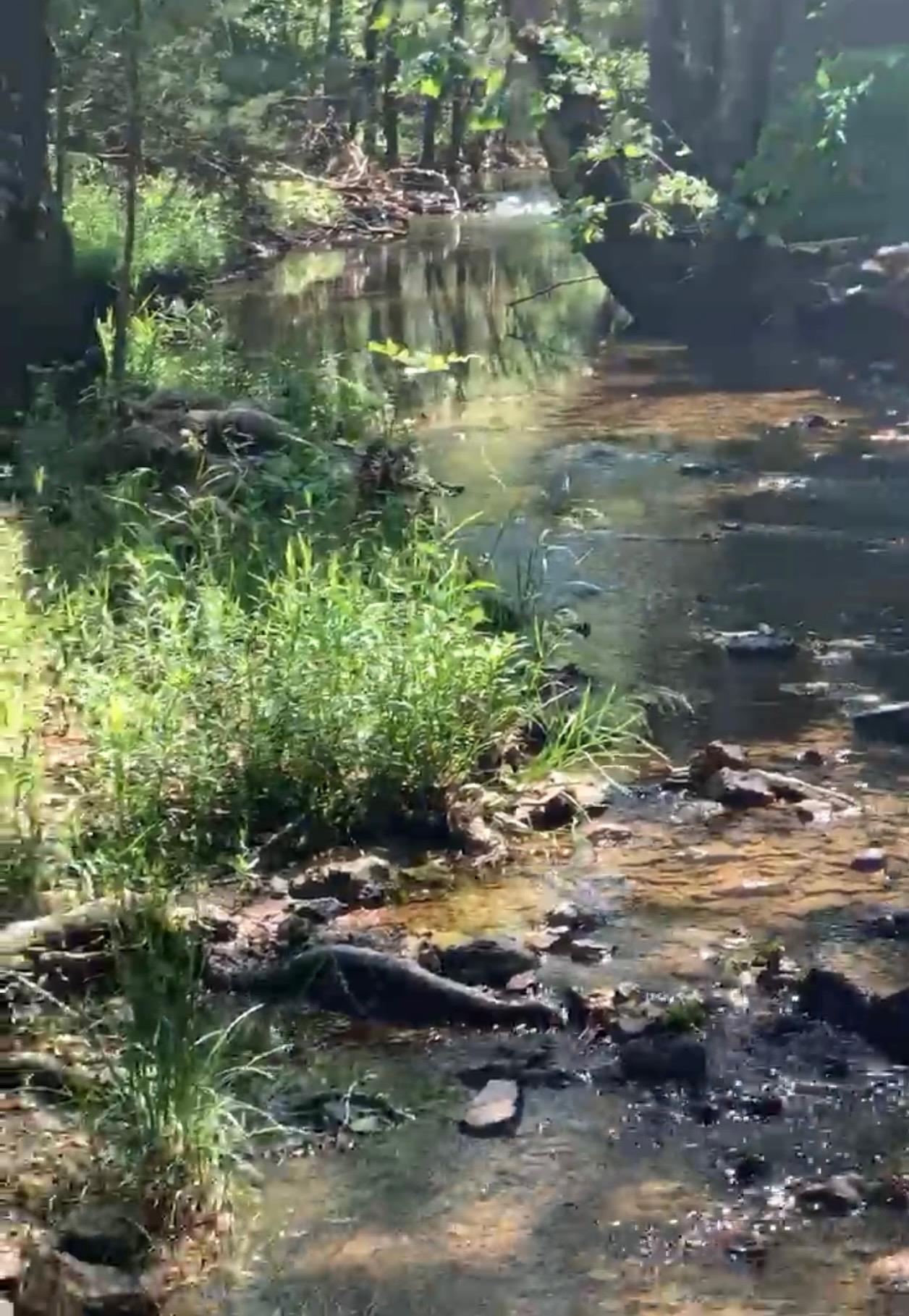 Photo 13 - Vacant Land for sale – 3013-3015  Possum Trot   Ash Flat, AR