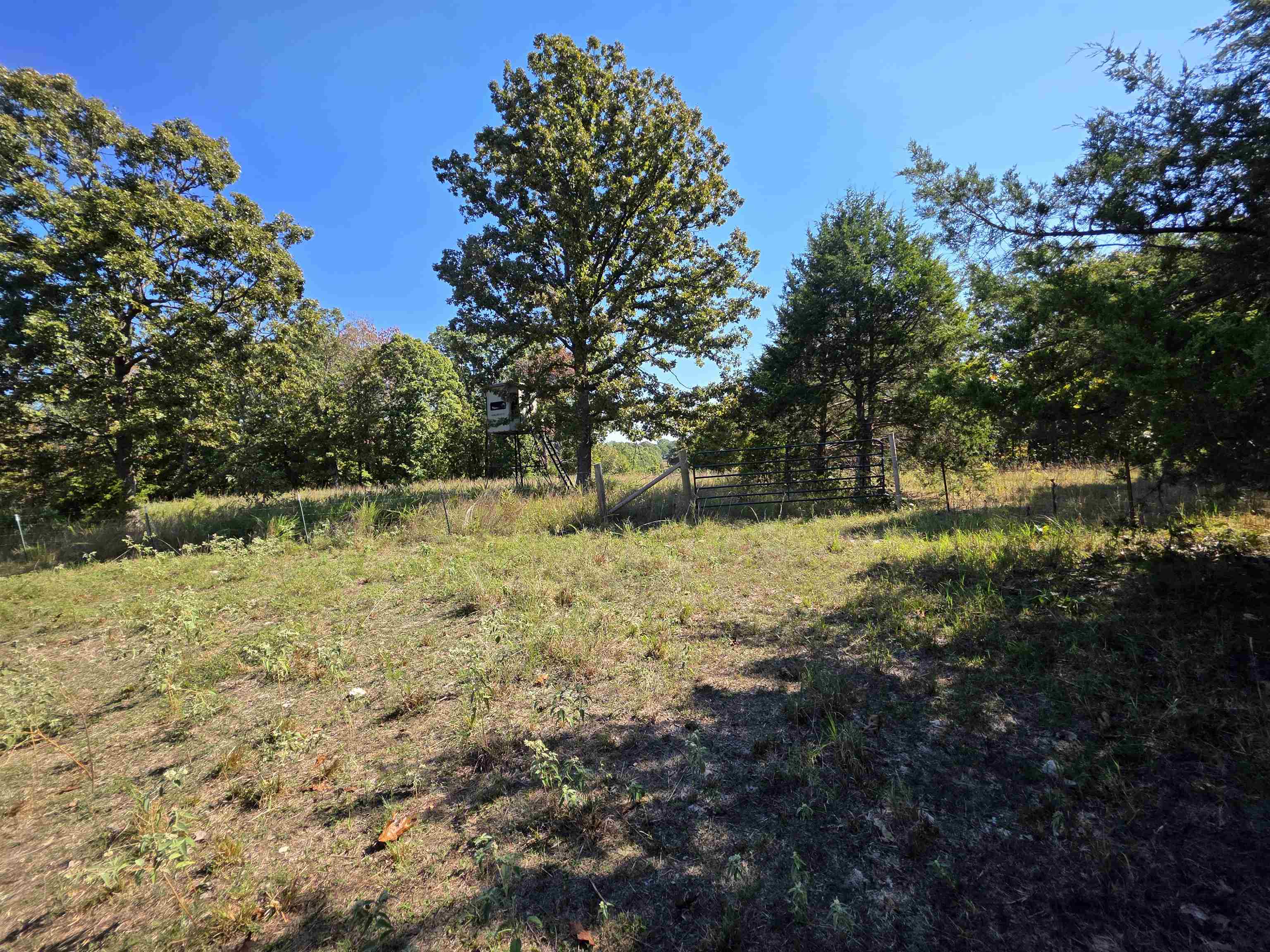 Photo 14 - Vacant Land for sale – 3013-3015  Possum Trot   Ash Flat, AR