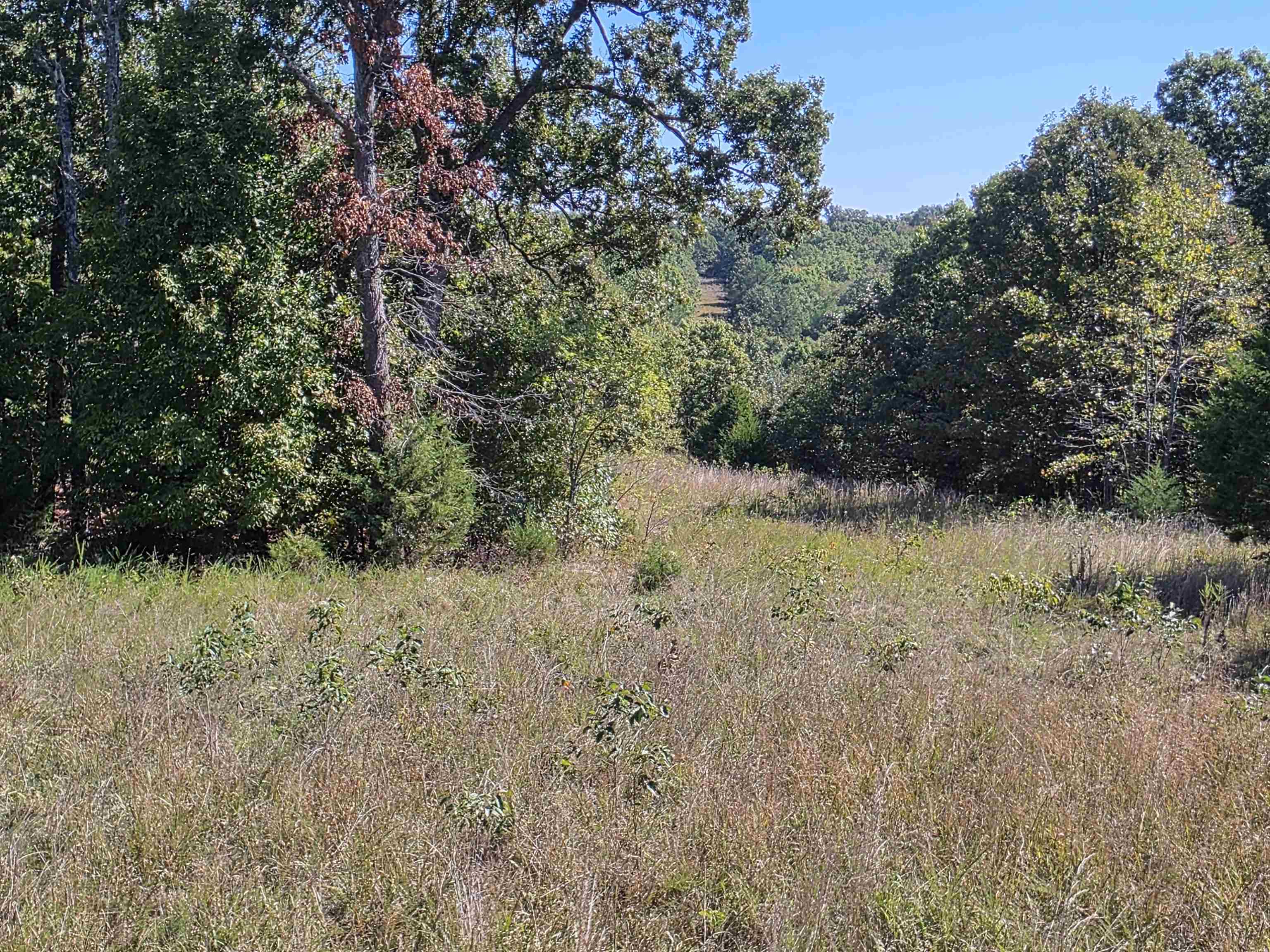 Photo 16 - Vacant Land for sale – 3013-3015  Possum Trot   Ash Flat, AR
