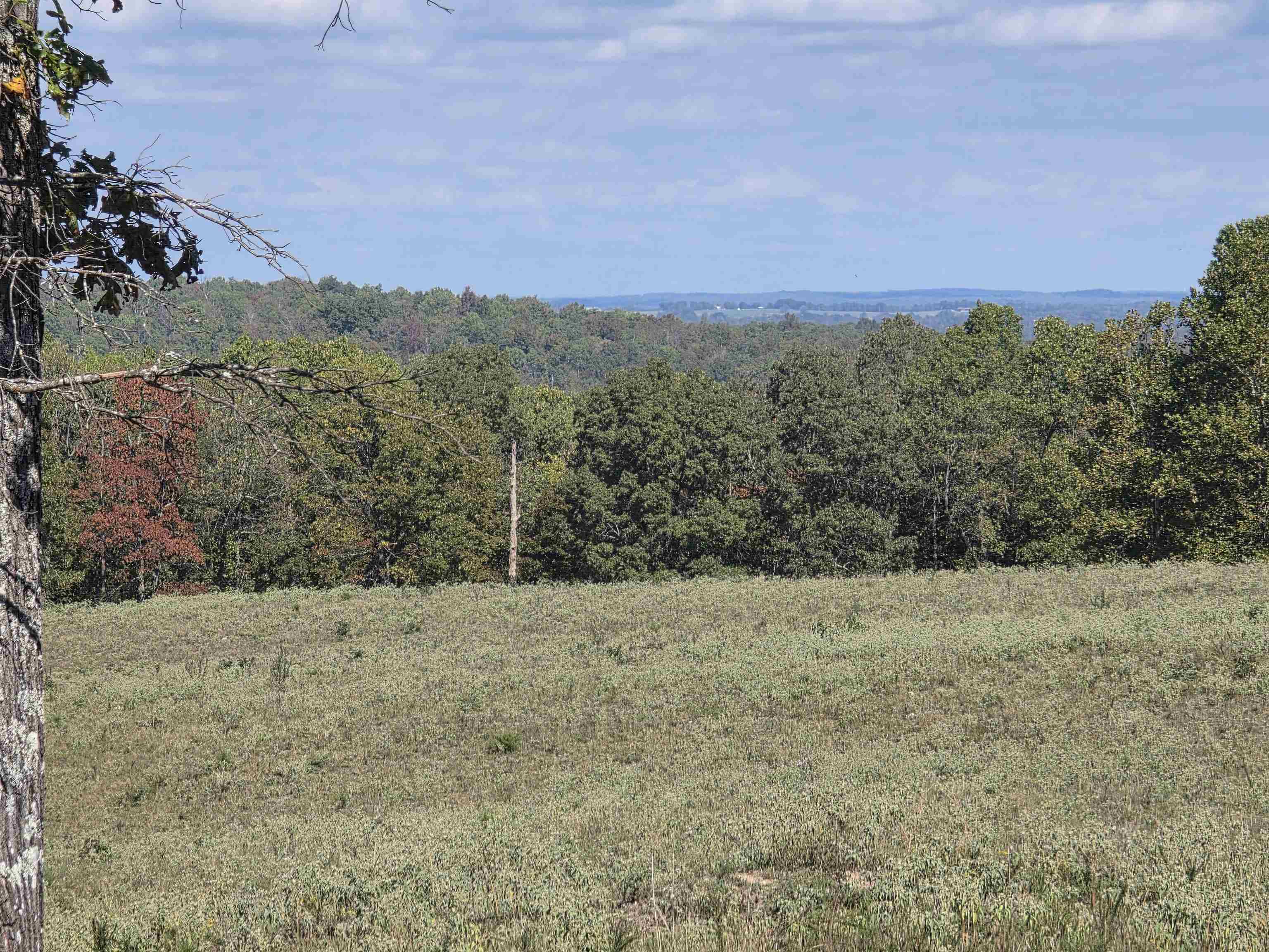 Photo 16 - Vacant Land for sale – 3013-3015  Possum Trot   Ash Flat, AR