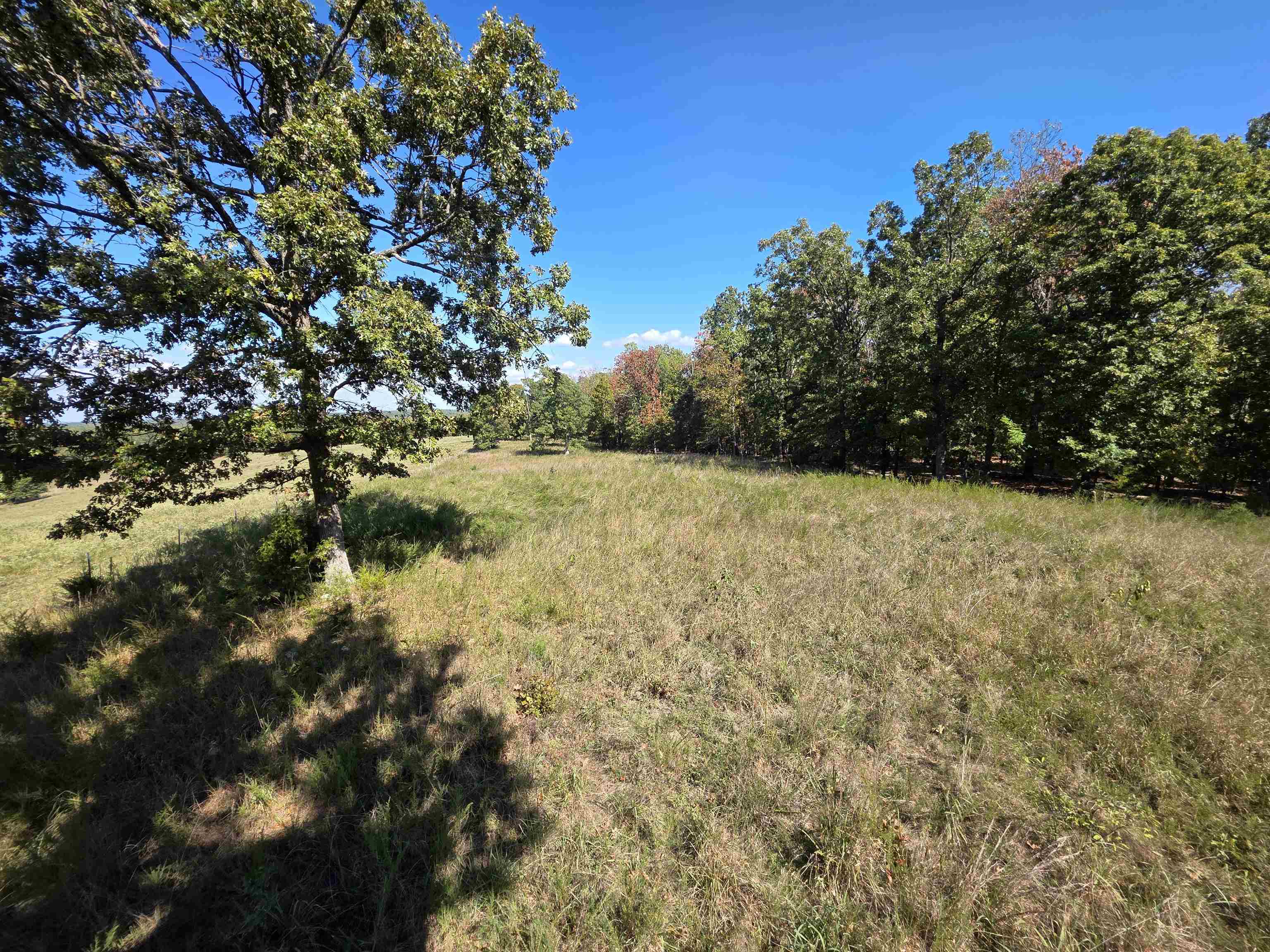 Photo 17 - Vacant Land for sale – 3013-3015  Possum Trot   Ash Flat, AR