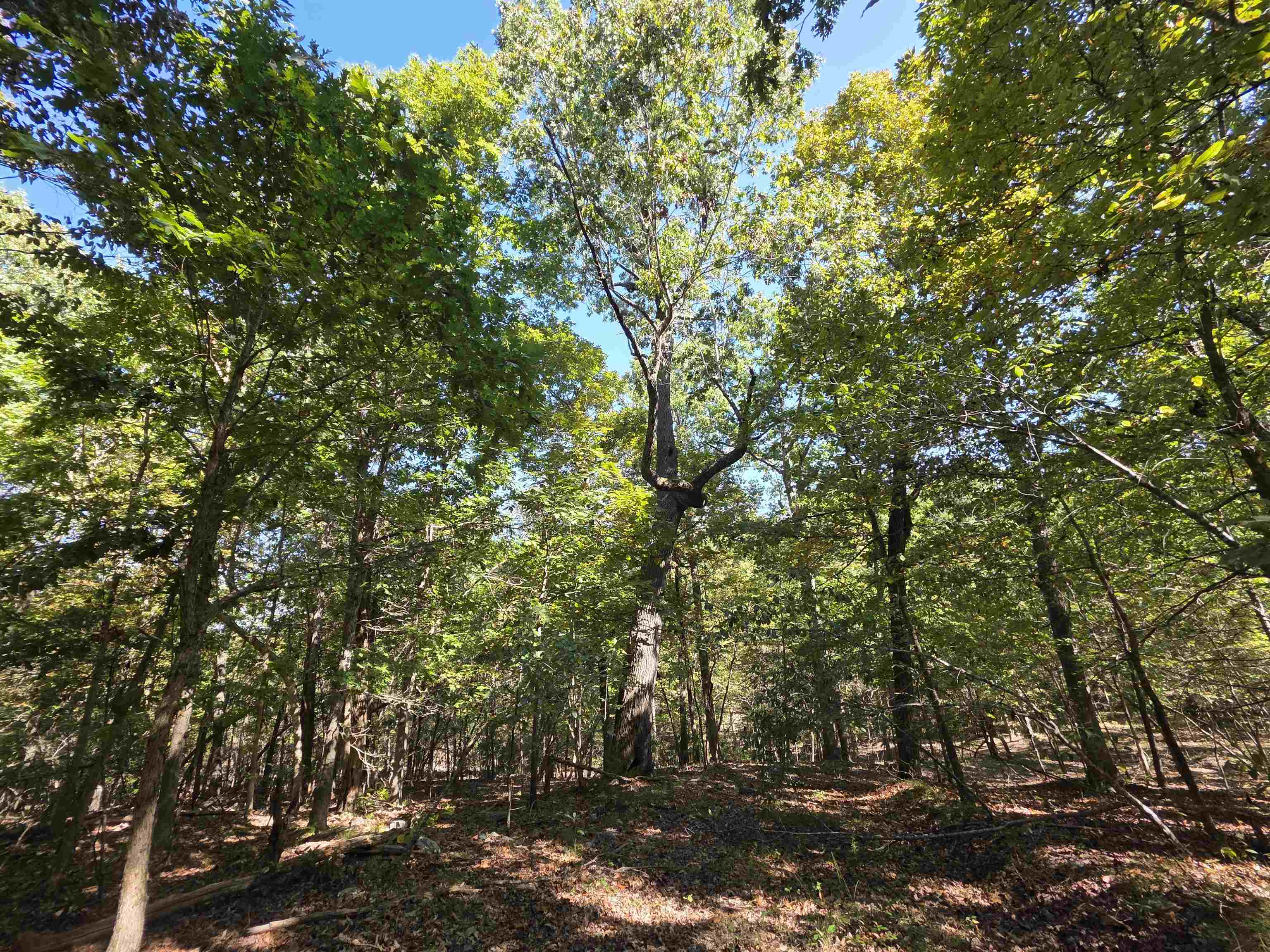 Photo 18 - Vacant Land for sale – 3013-3015  Possum Trot   Ash Flat, AR