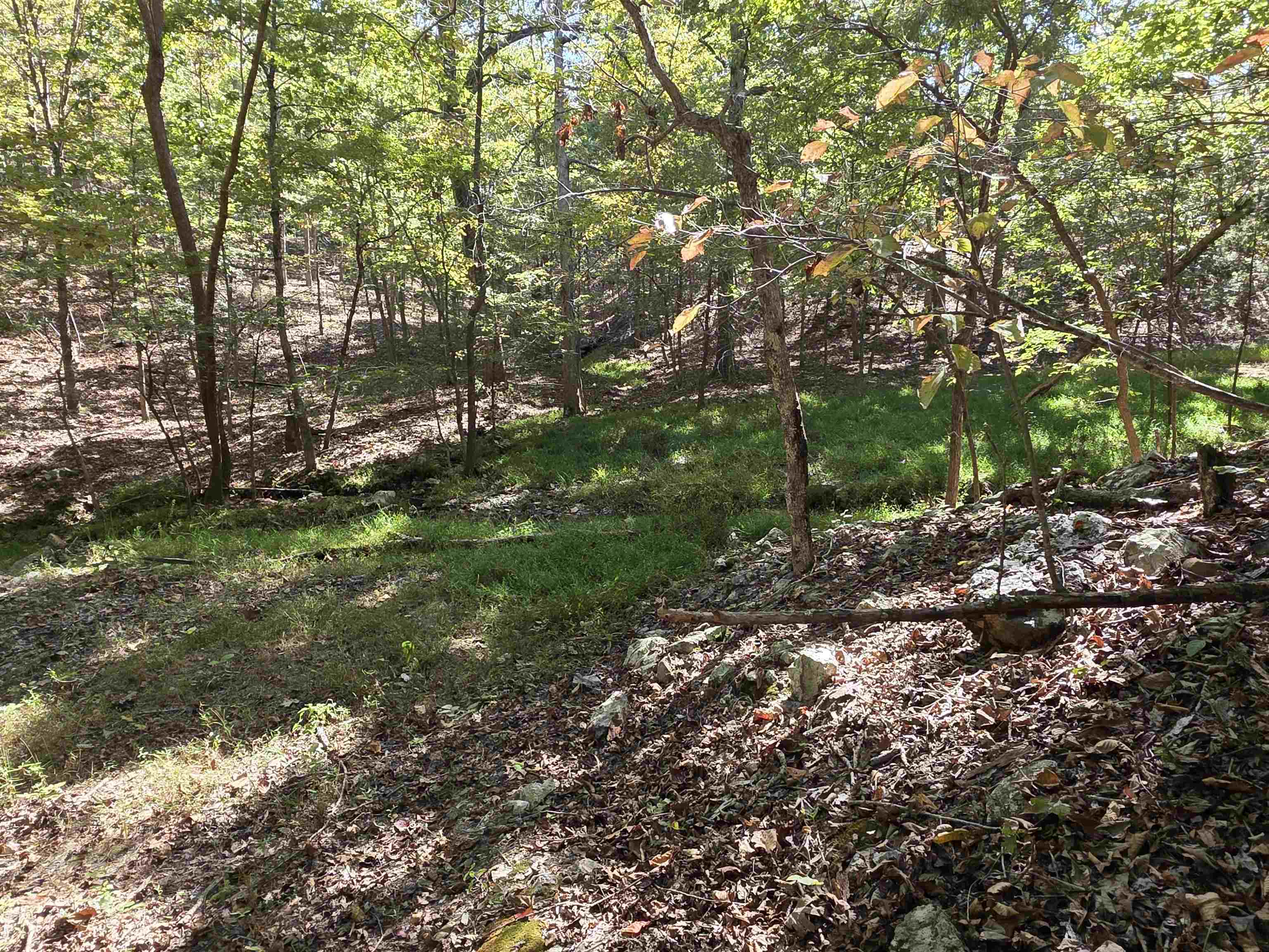 Photo 20 - Vacant Land for sale – 3013-3015  Possum Trot   Ash Flat, AR