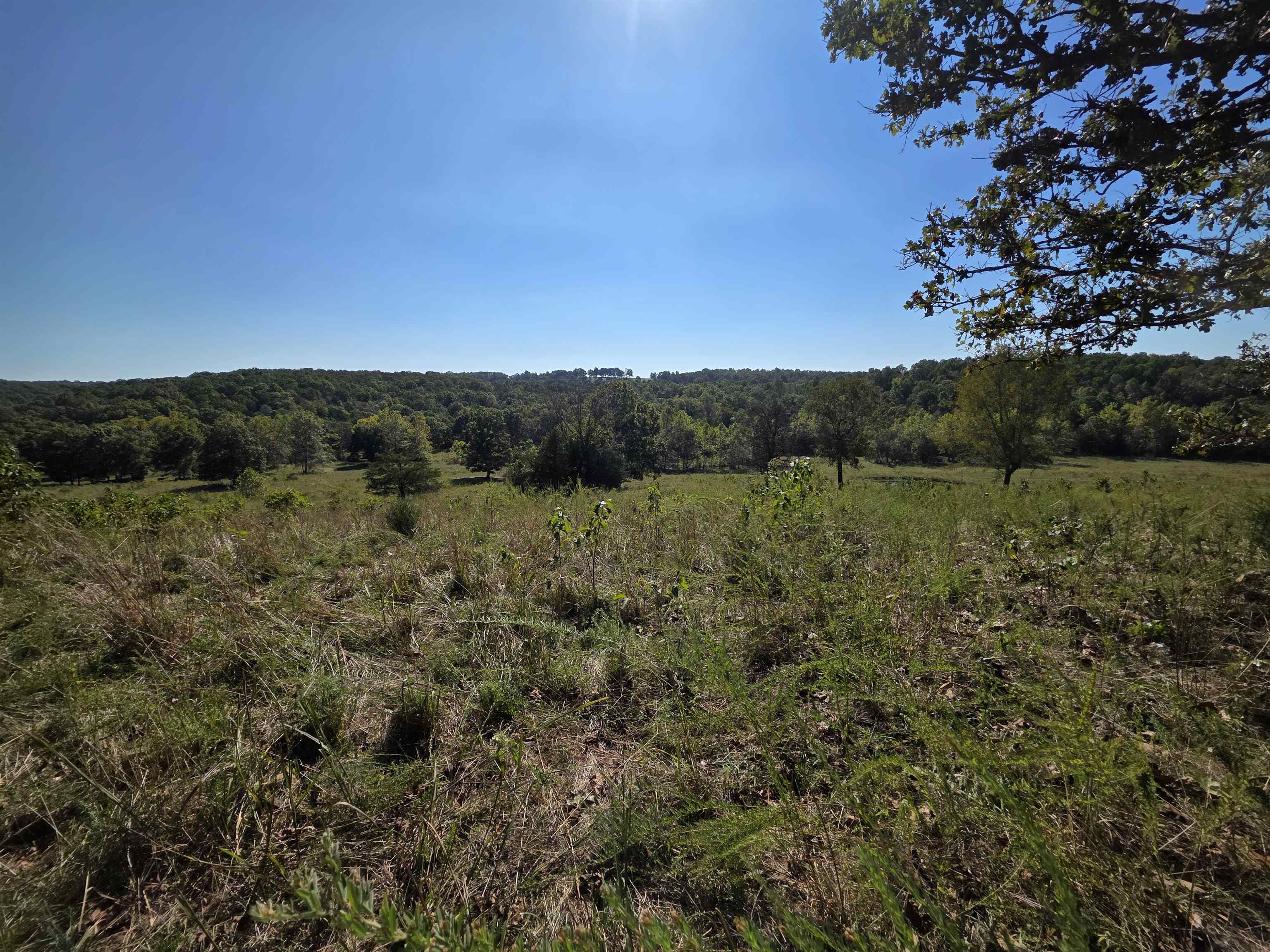Photo 3 - Vacant Land for sale – 3013-3015  Possum Trot   Ash Flat, AR
