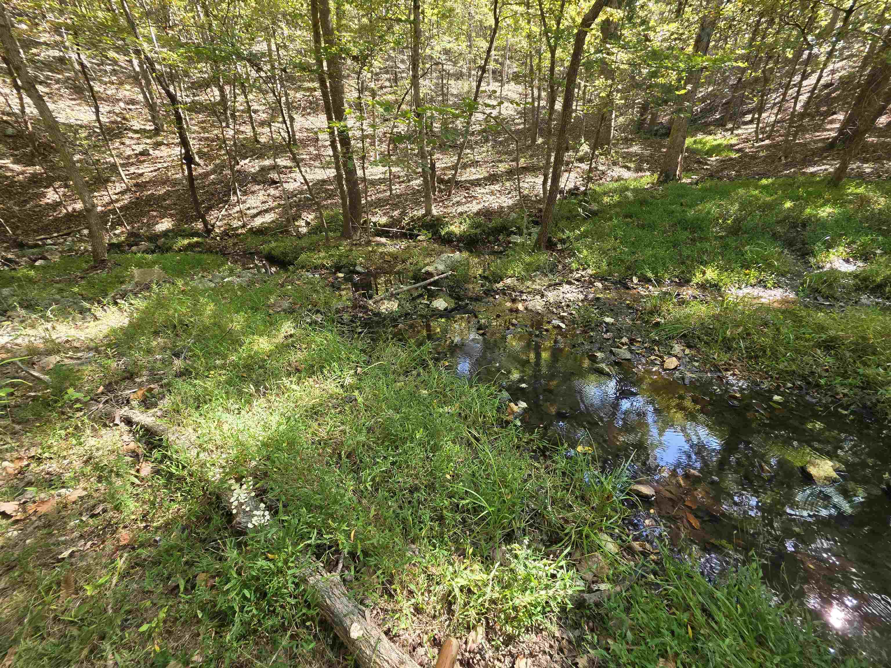 Photo 21 - Vacant Land for sale – 3013-3015  Possum Trot   Ash Flat, AR
