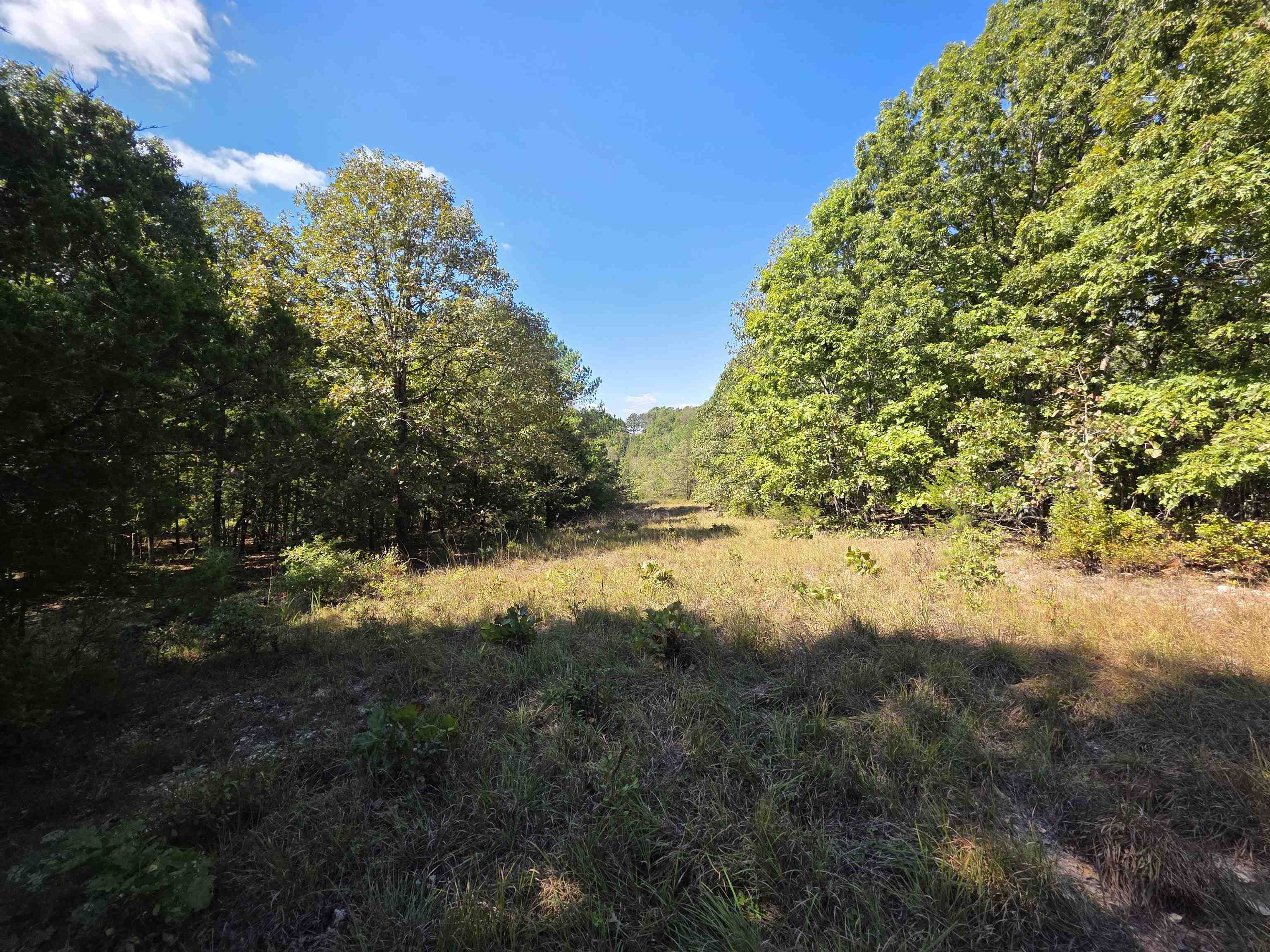 Photo 22 - Vacant Land for sale – 3013-3015  Possum Trot   Ash Flat, AR