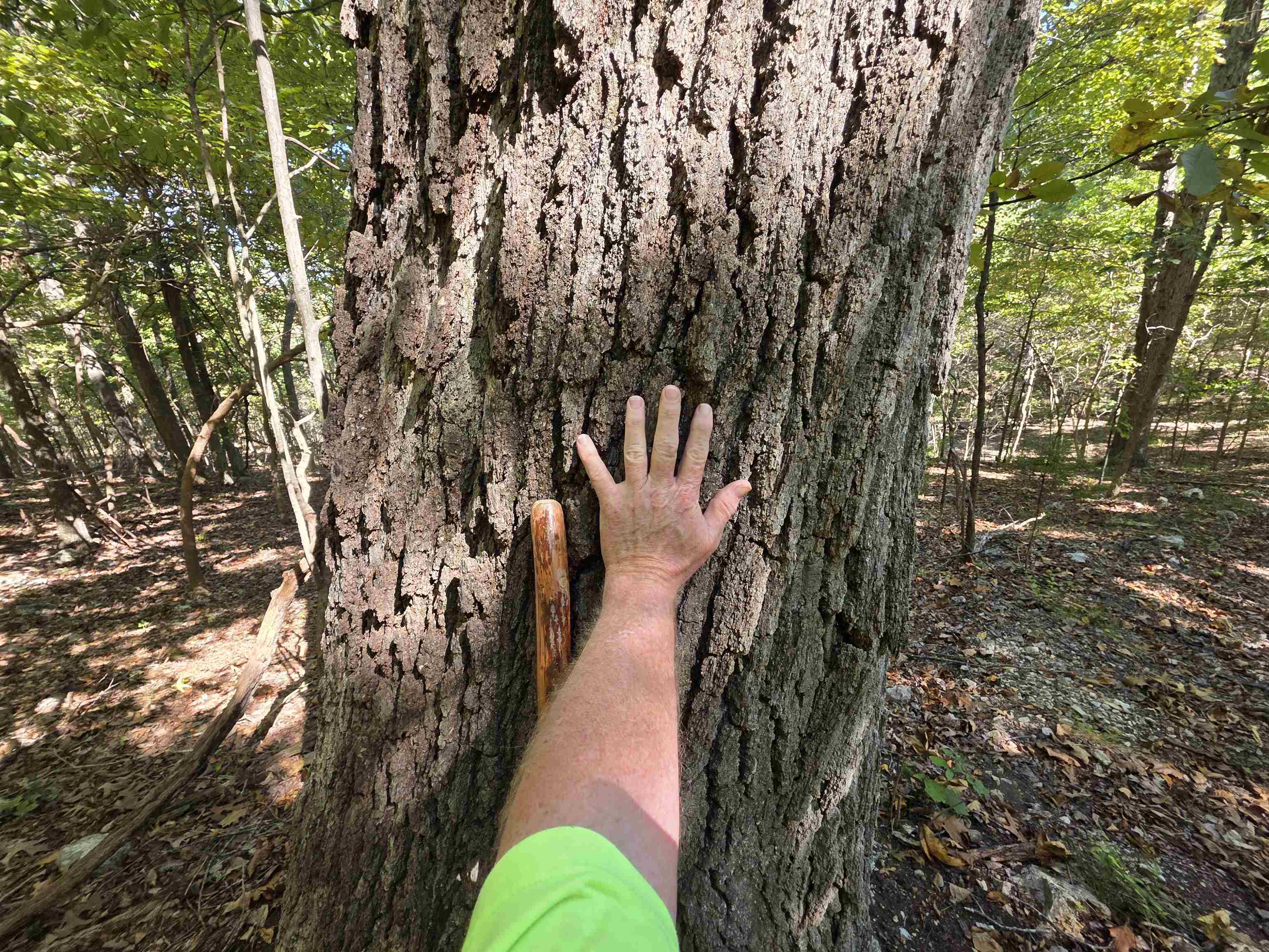 Photo 22 - Vacant Land for sale – 3013-3015  Possum Trot   Ash Flat, AR