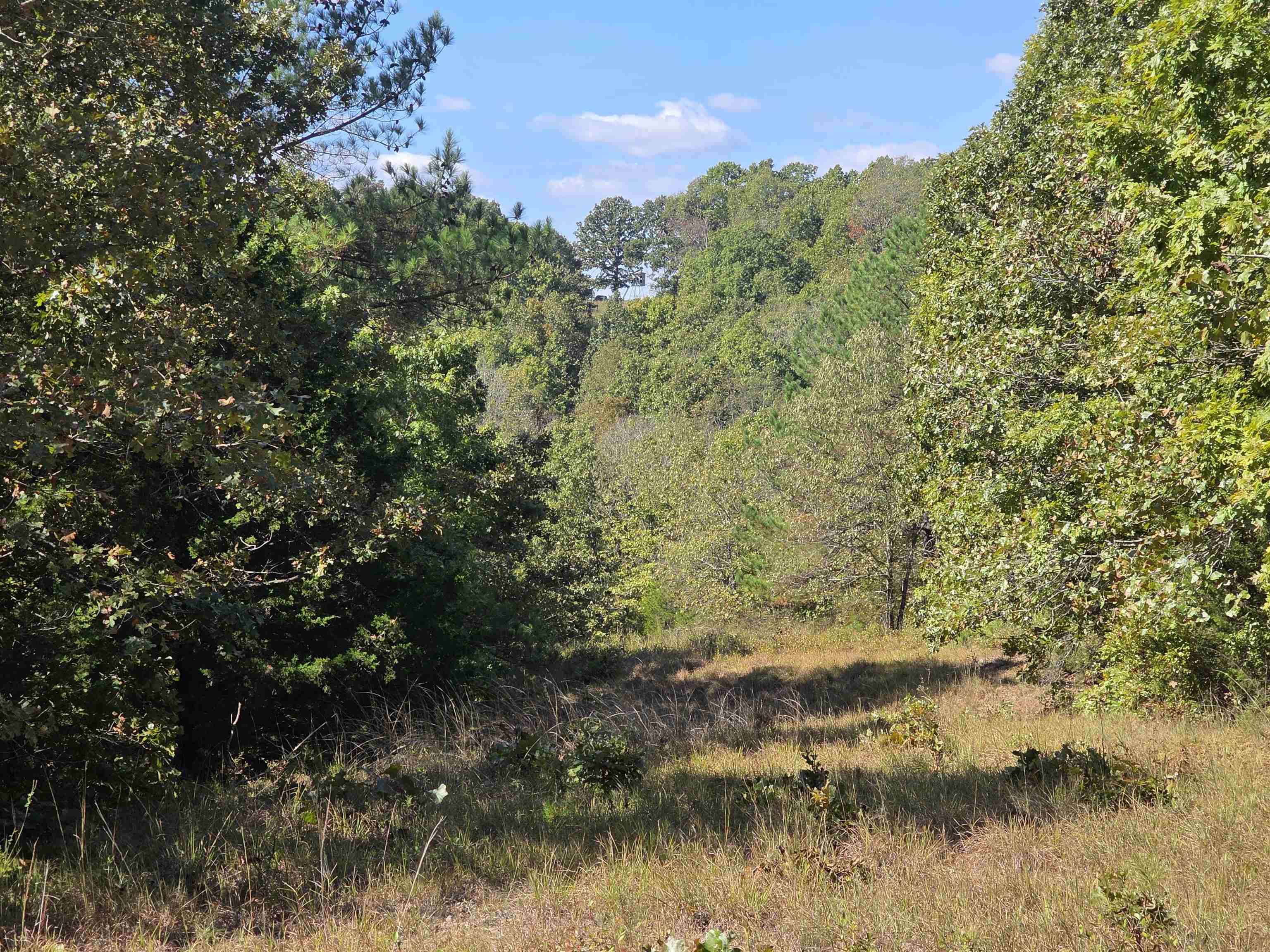 Photo 23 - Vacant Land for sale – 3013-3015  Possum Trot   Ash Flat, AR