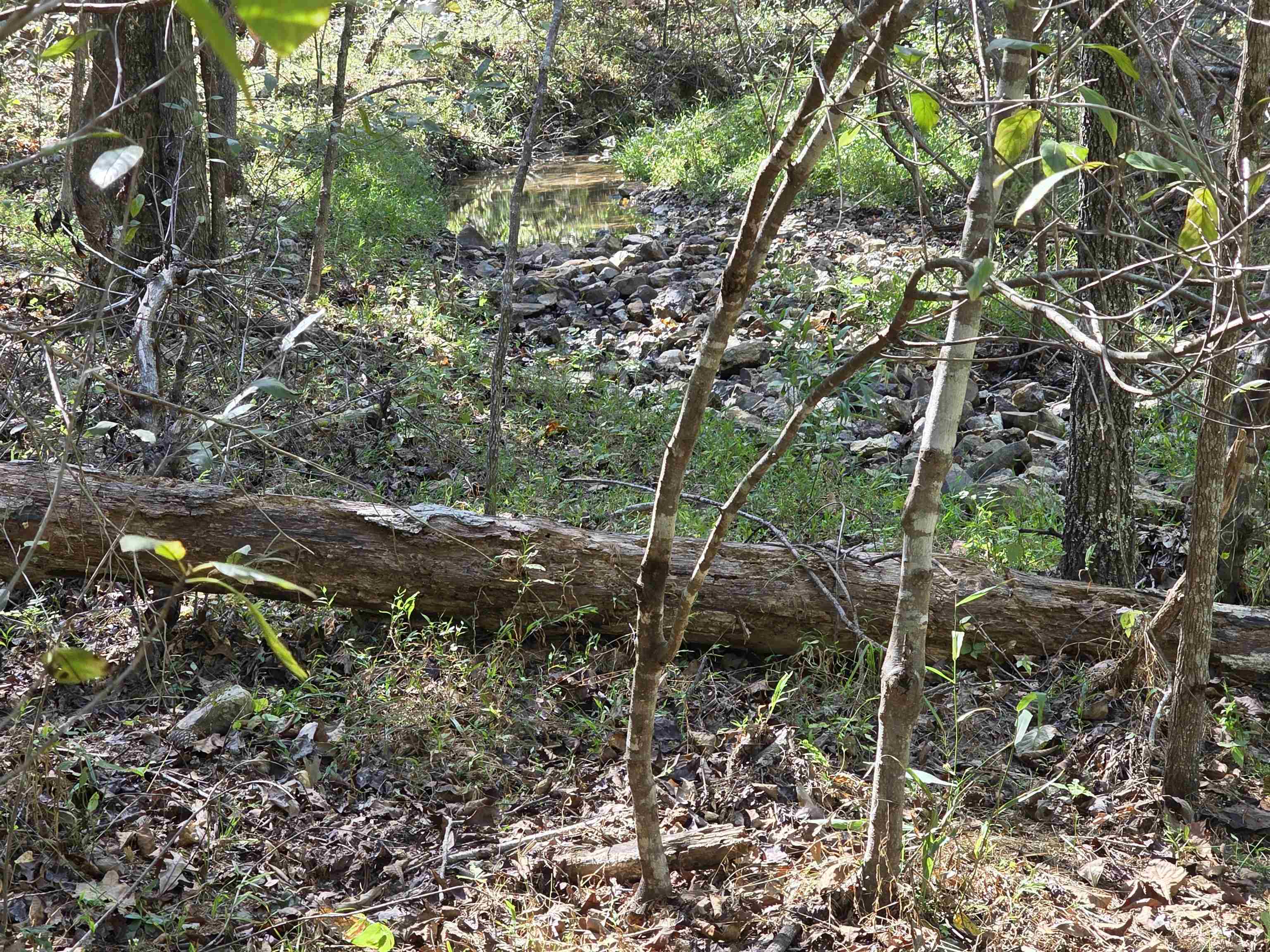 Photo 25 - Vacant Land for sale – 3013-3015  Possum Trot   Ash Flat, AR