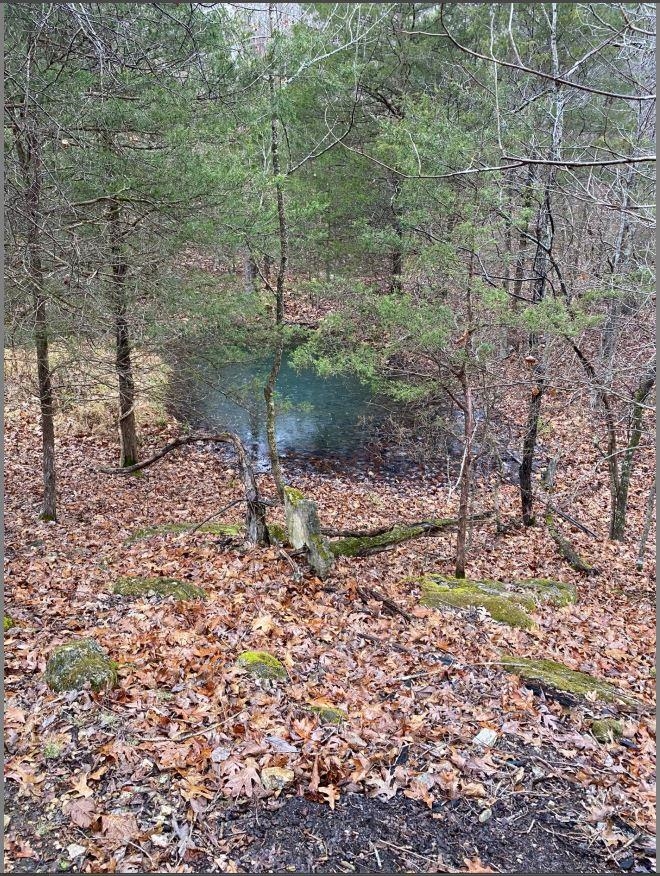 Photo 27 - Vacant Land for sale – 3013-3015  Possum Trot   Ash Flat, AR