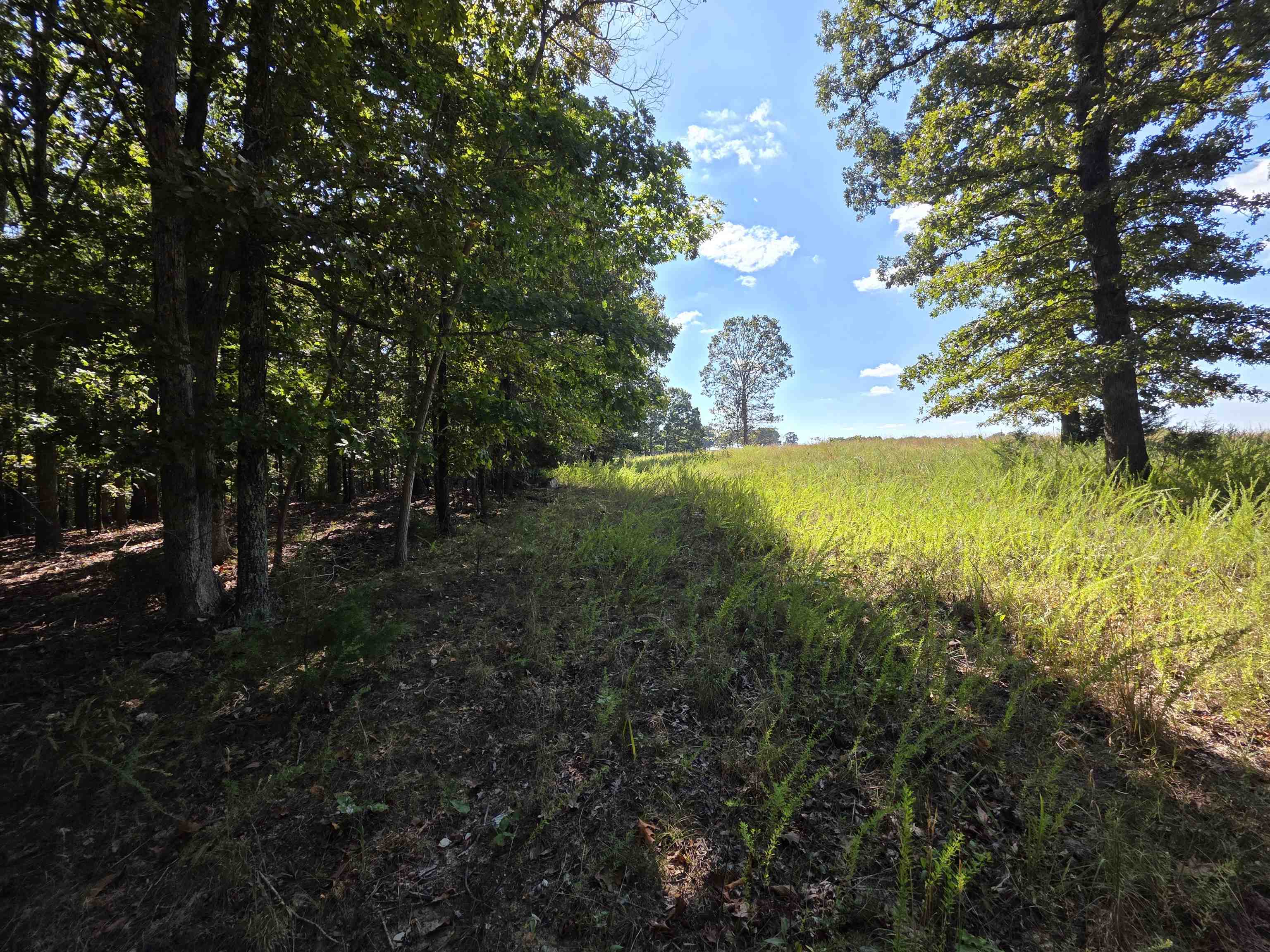 Photo 30 - Vacant Land for sale – 3013-3015  Possum Trot   Ash Flat, AR