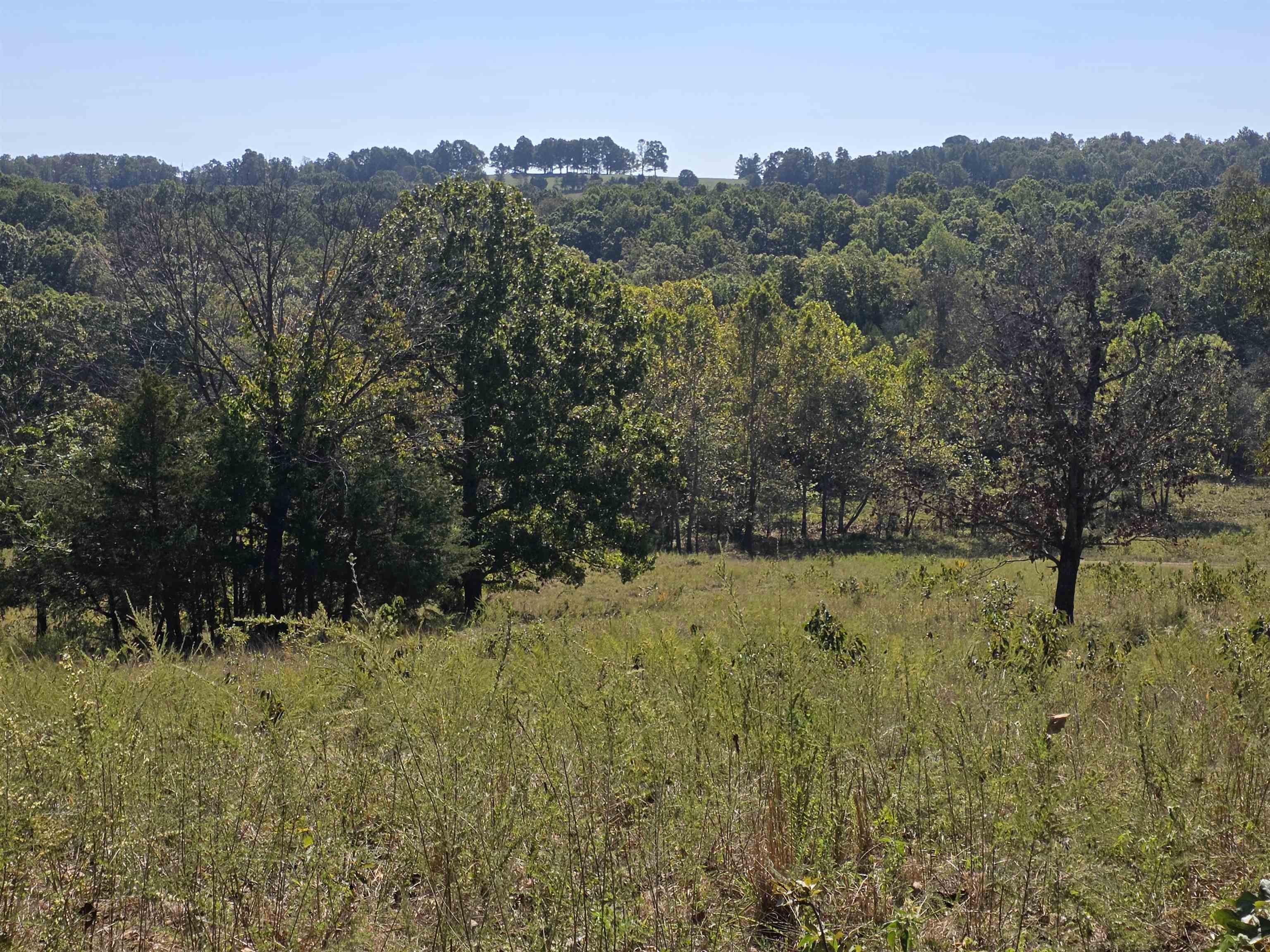 Photo 4 - Vacant Land for sale – 3013-3015  Possum Trot   Ash Flat, AR