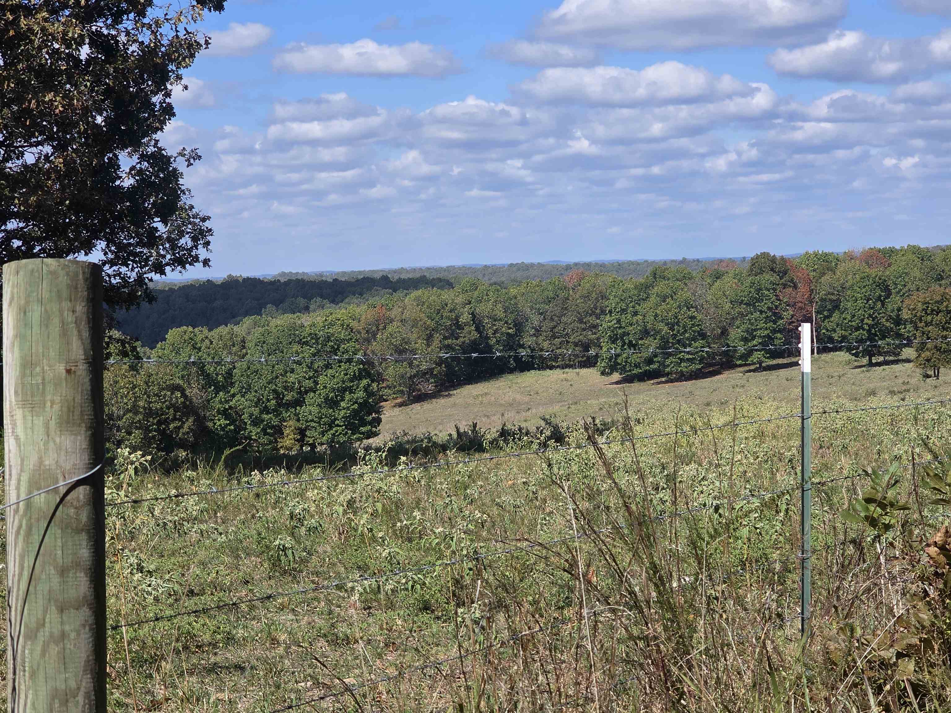 Photo 4 - Vacant Land for sale – 3013-3015  Possum Trot   Ash Flat, AR