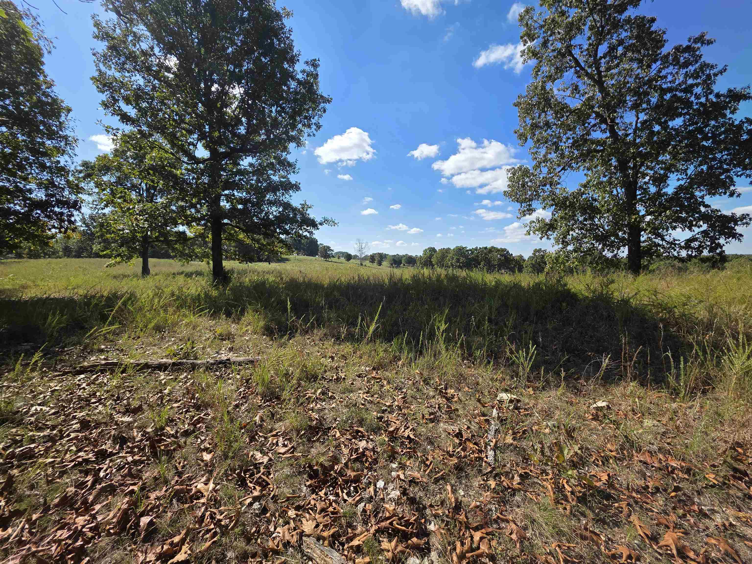 Photo 31 - Vacant Land for sale – 3013-3015  Possum Trot   Ash Flat, AR