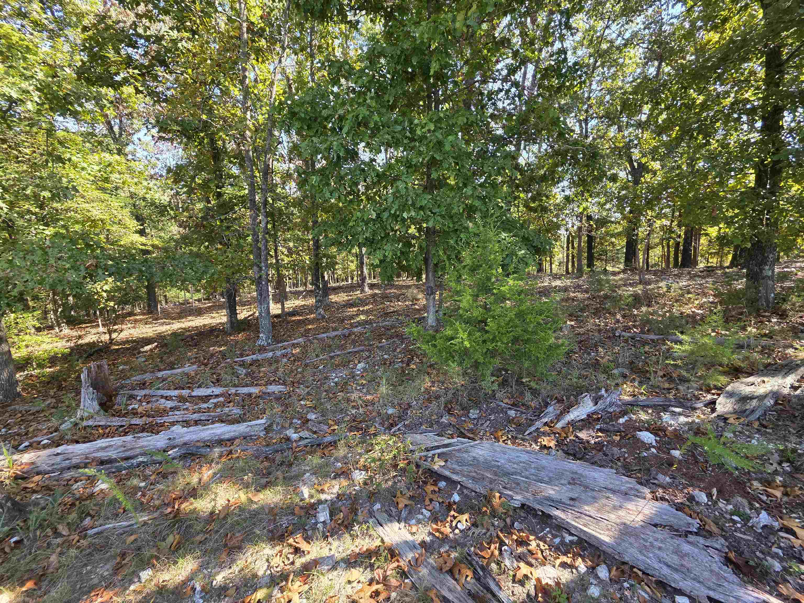 Photo 32 - Vacant Land for sale – 3013-3015  Possum Trot   Ash Flat, AR