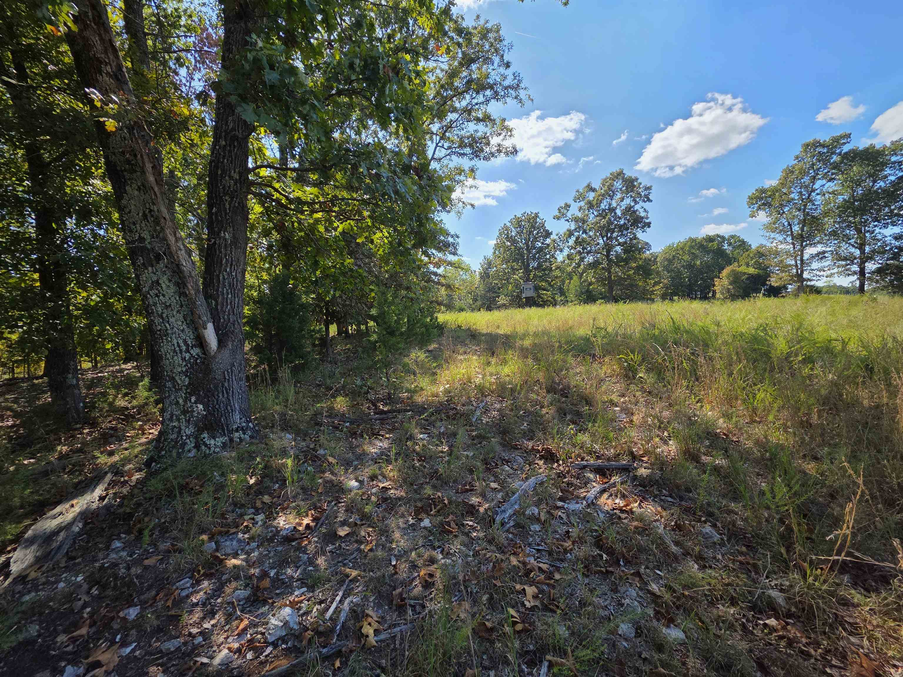 Photo 33 - Vacant Land for sale – 3013-3015  Possum Trot   Ash Flat, AR