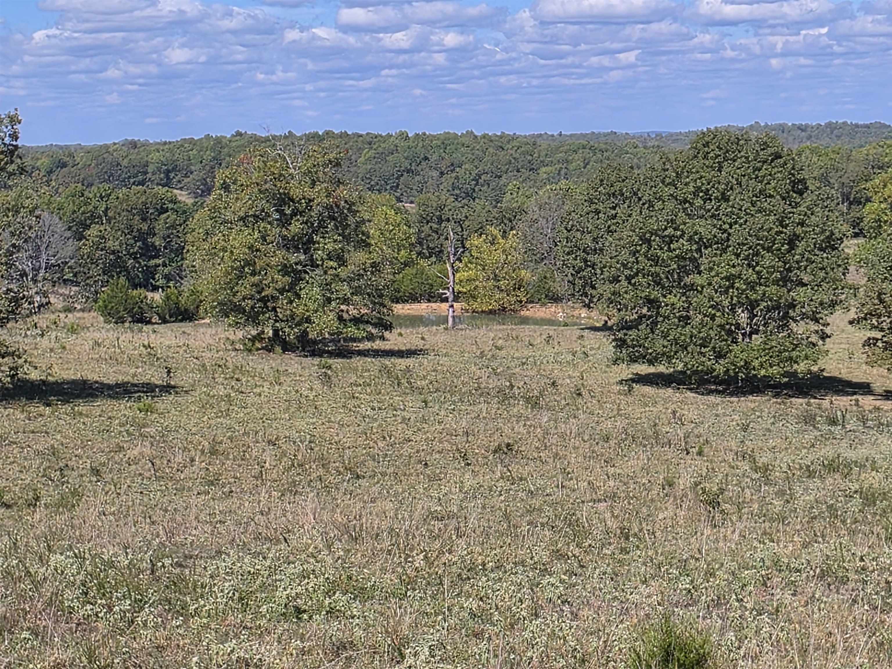 Photo 33 - Vacant Land for sale – 3013-3015  Possum Trot   Ash Flat, AR