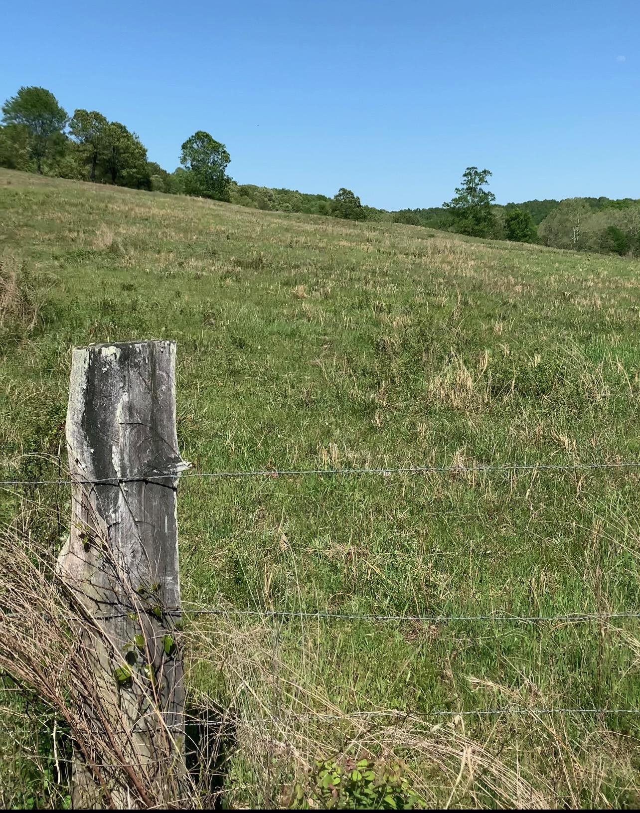 Photo 38 - Vacant Land for sale – 3013-3015  Possum Trot   Ash Flat, AR