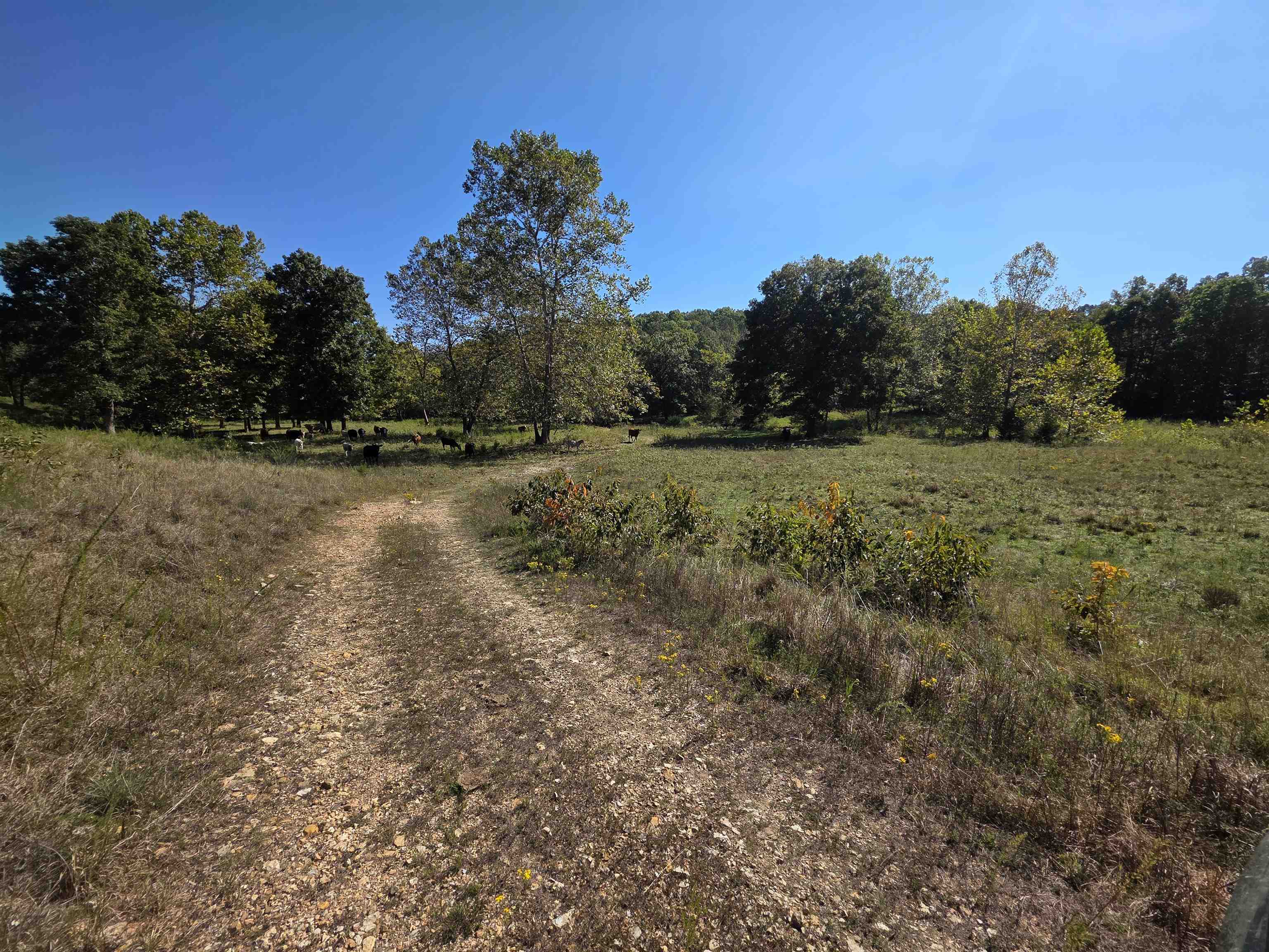Photo 5 - Vacant Land for sale – 3013-3015  Possum Trot   Ash Flat, AR