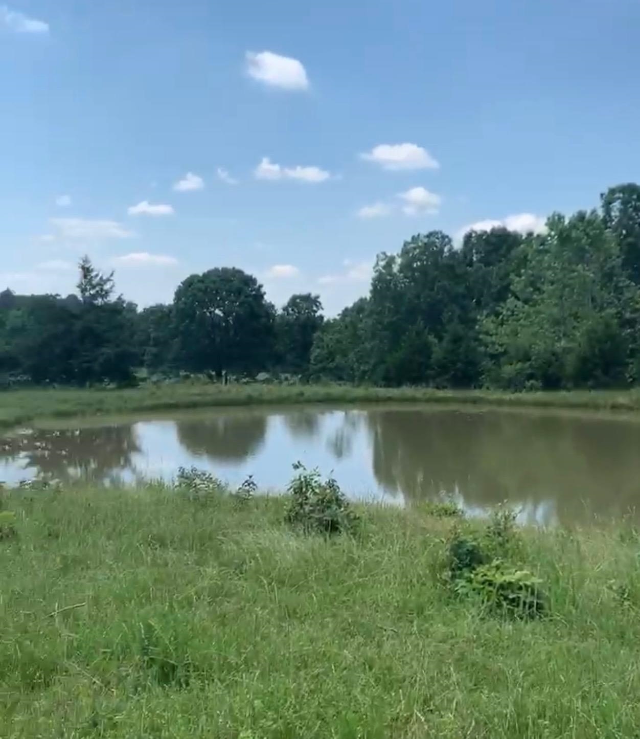 Photo 5 - Vacant Land for sale – 3013-3015  Possum Trot   Ash Flat, AR