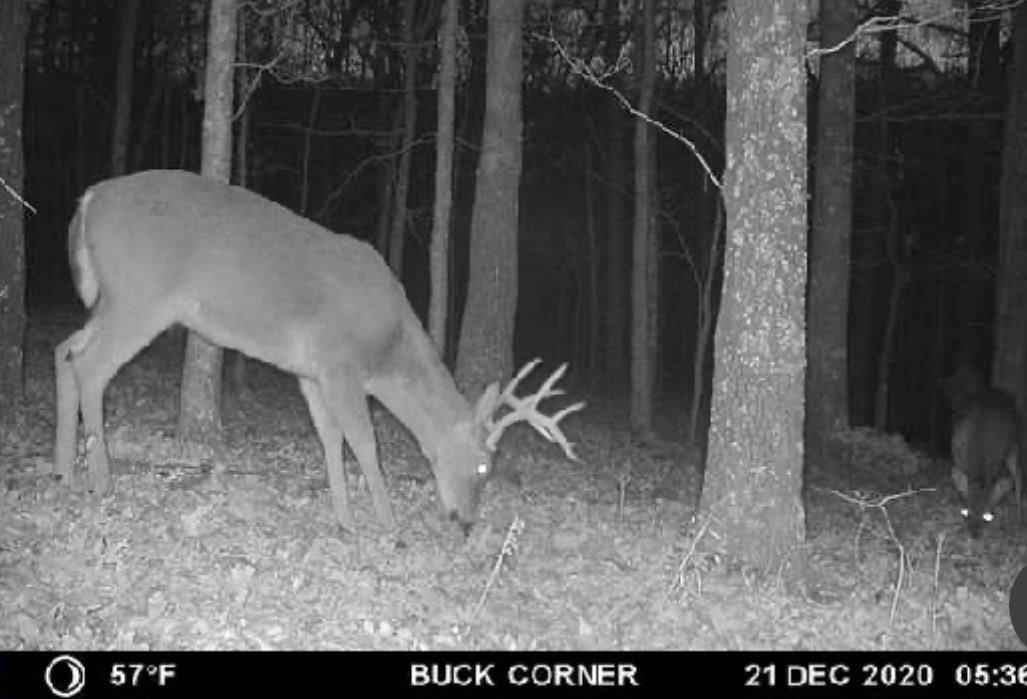 Photo 41 - Vacant Land for sale – 3013-3015  Possum Trot   Ash Flat, AR