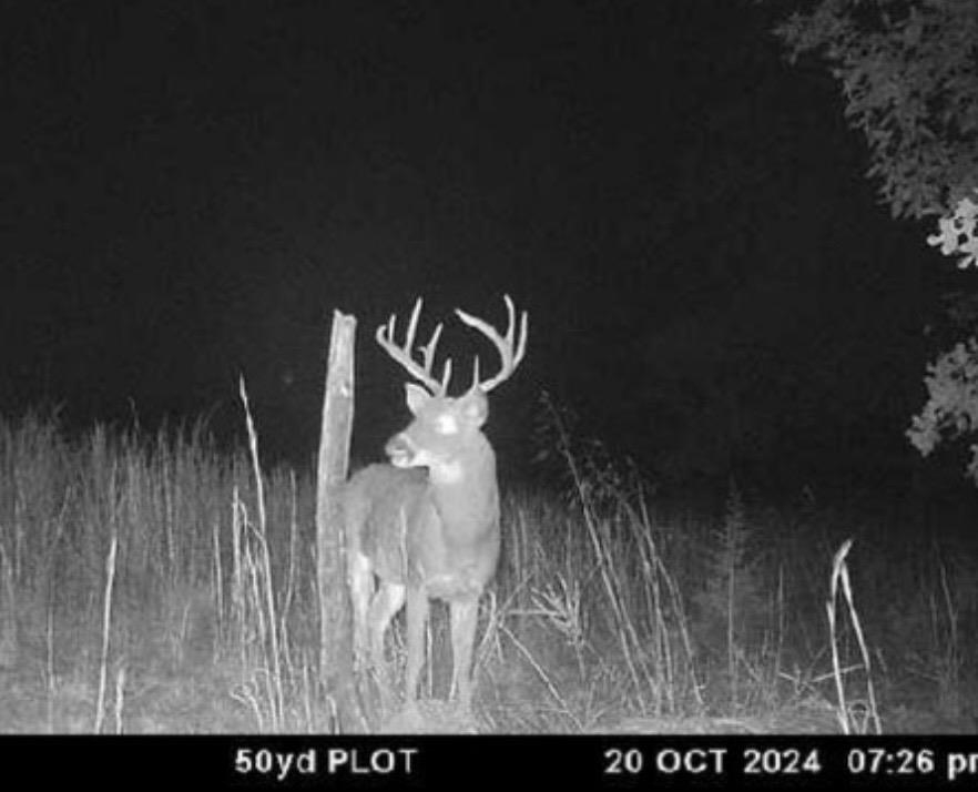 Photo 45 - Vacant Land for sale – 3013-3015  Possum Trot   Ash Flat, AR