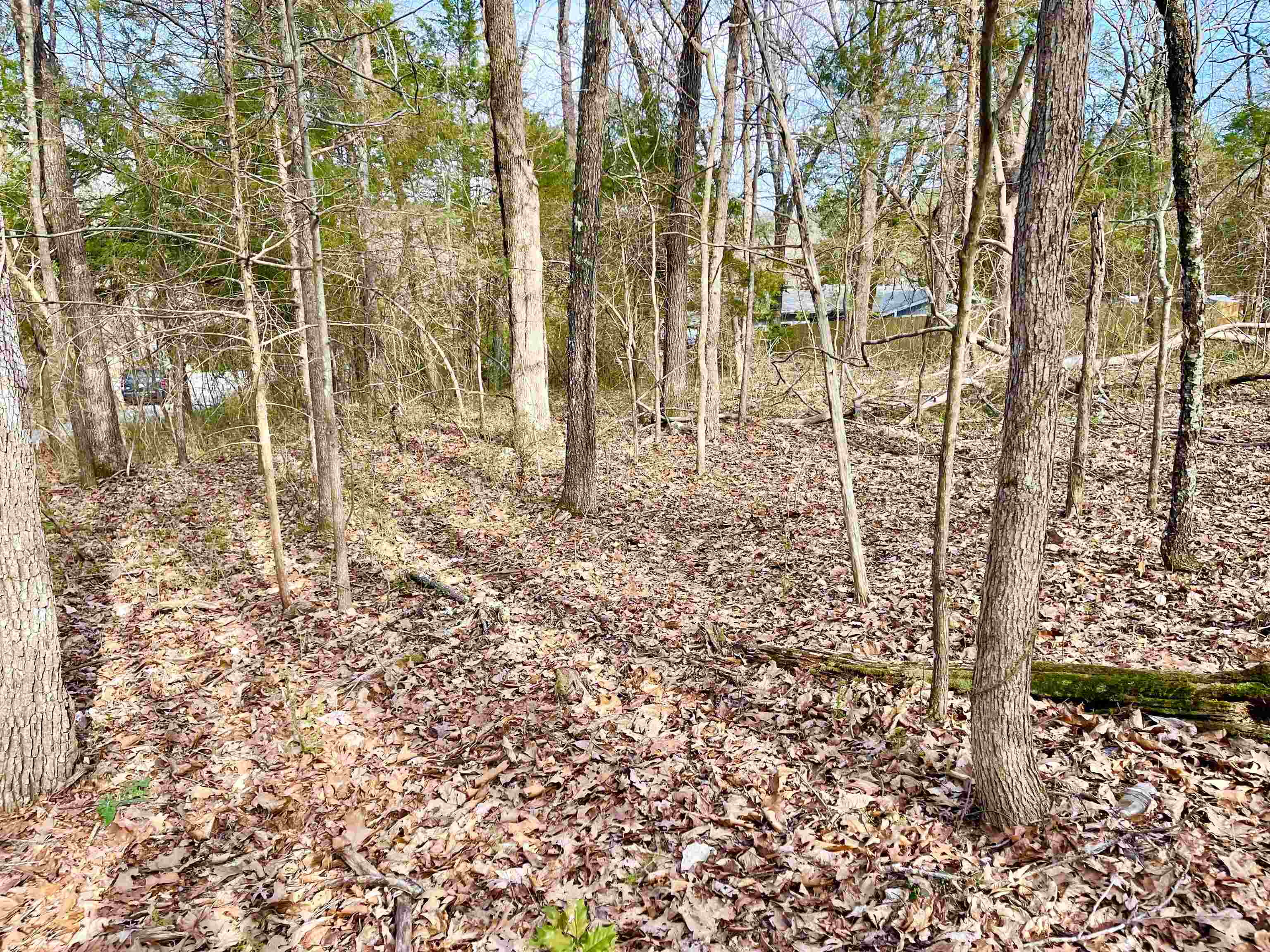 Vacant Land for sale – 0  Nokomis   Cherokee Village, AR