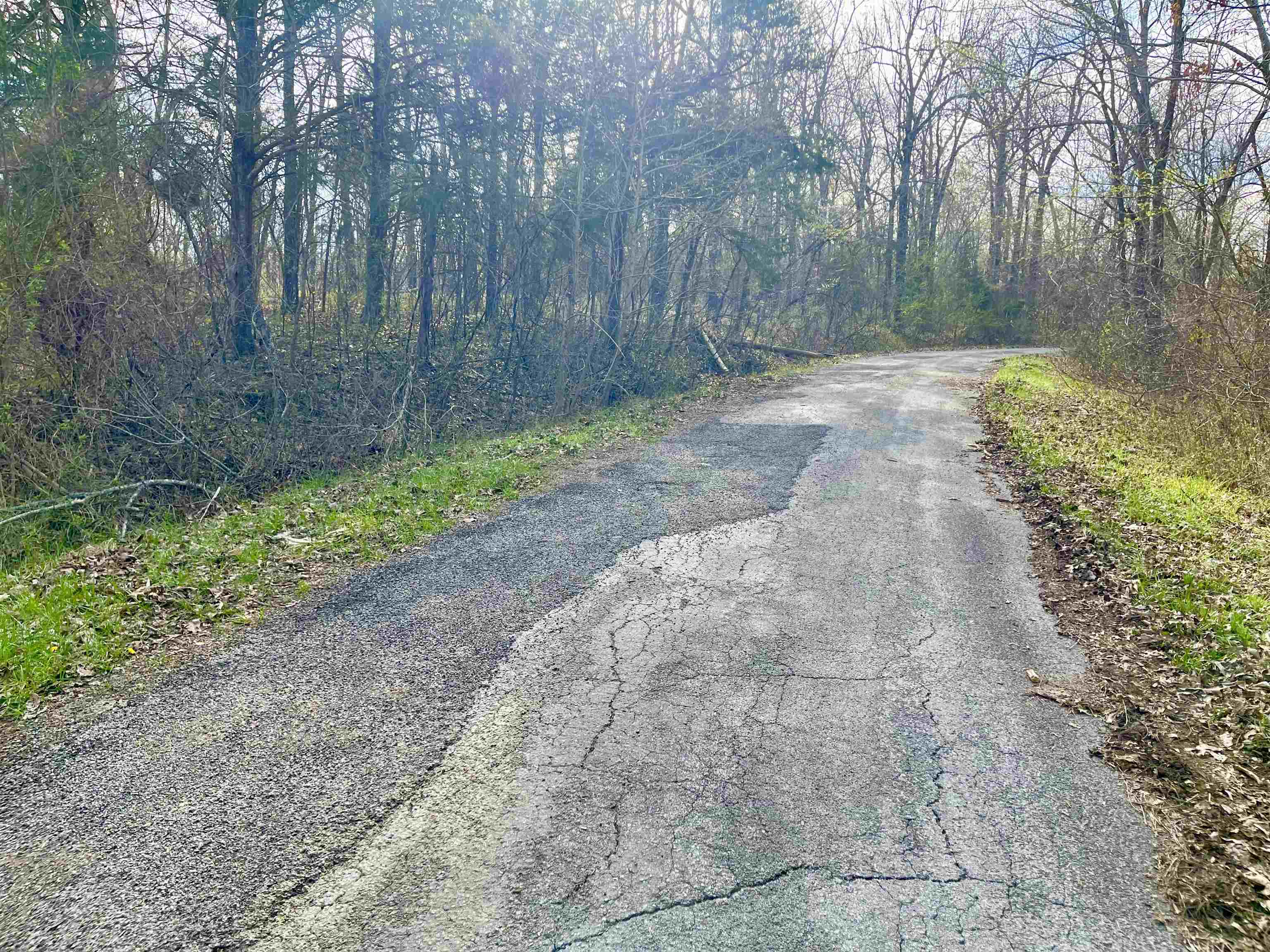 Photo 3 - Vacant Land for sale – 0  Nokomis   Cherokee Village, AR