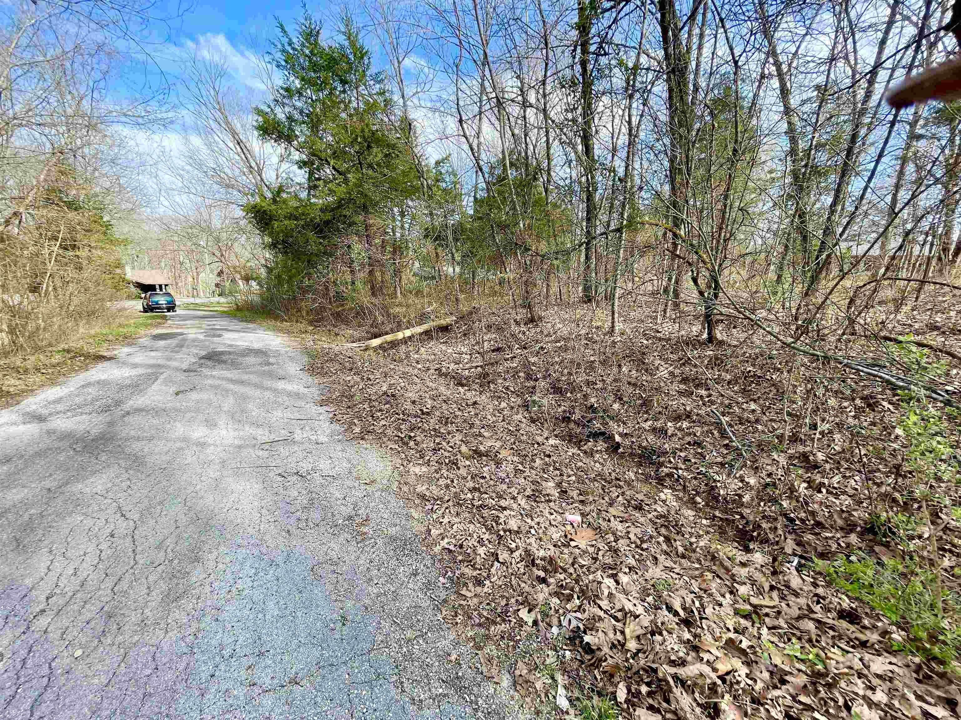 Photo 4 - Vacant Land for sale – 0  Nokomis   Cherokee Village, AR