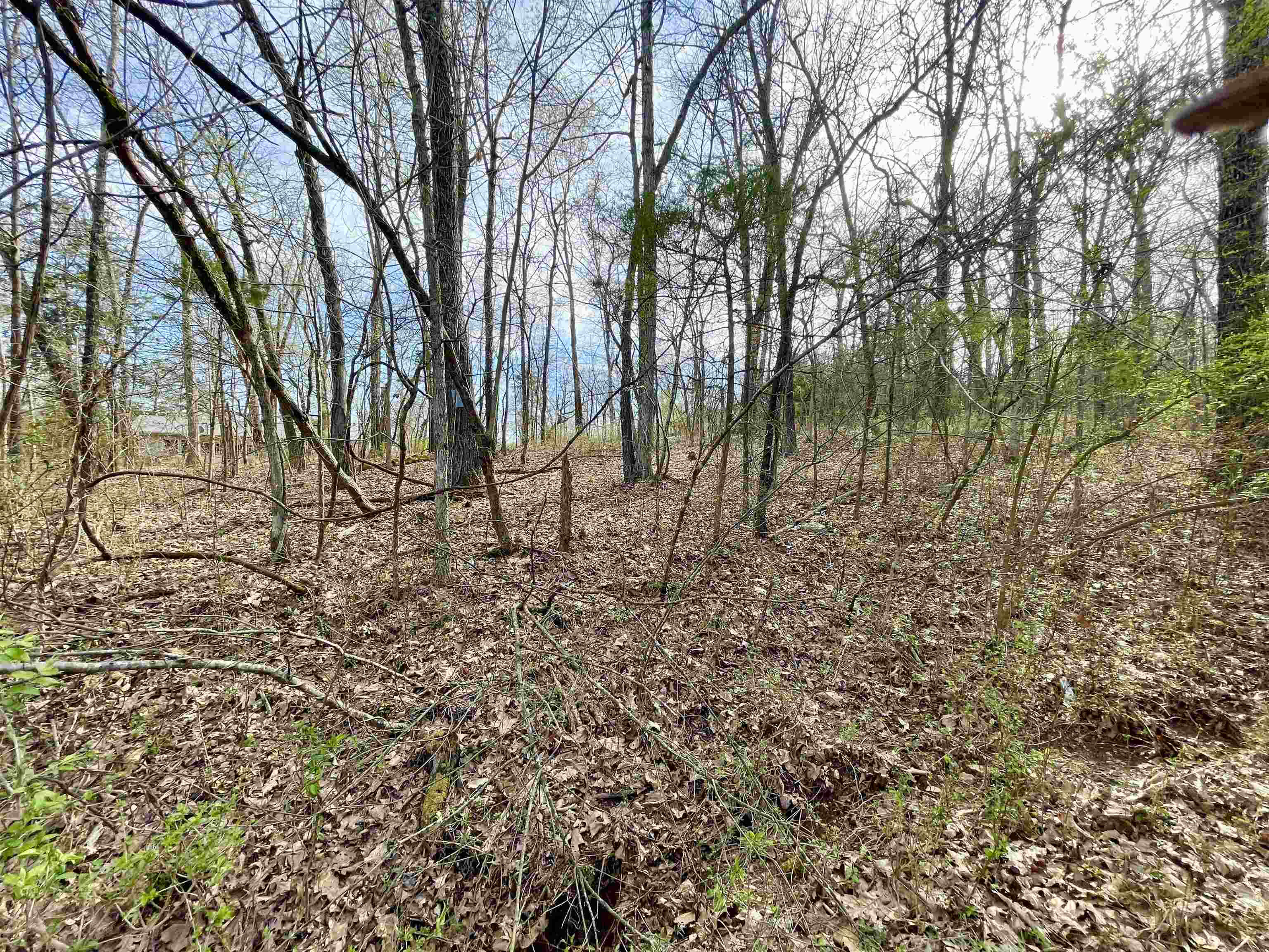 Photo 5 - Vacant Land for sale – 0  Nokomis   Cherokee Village, AR