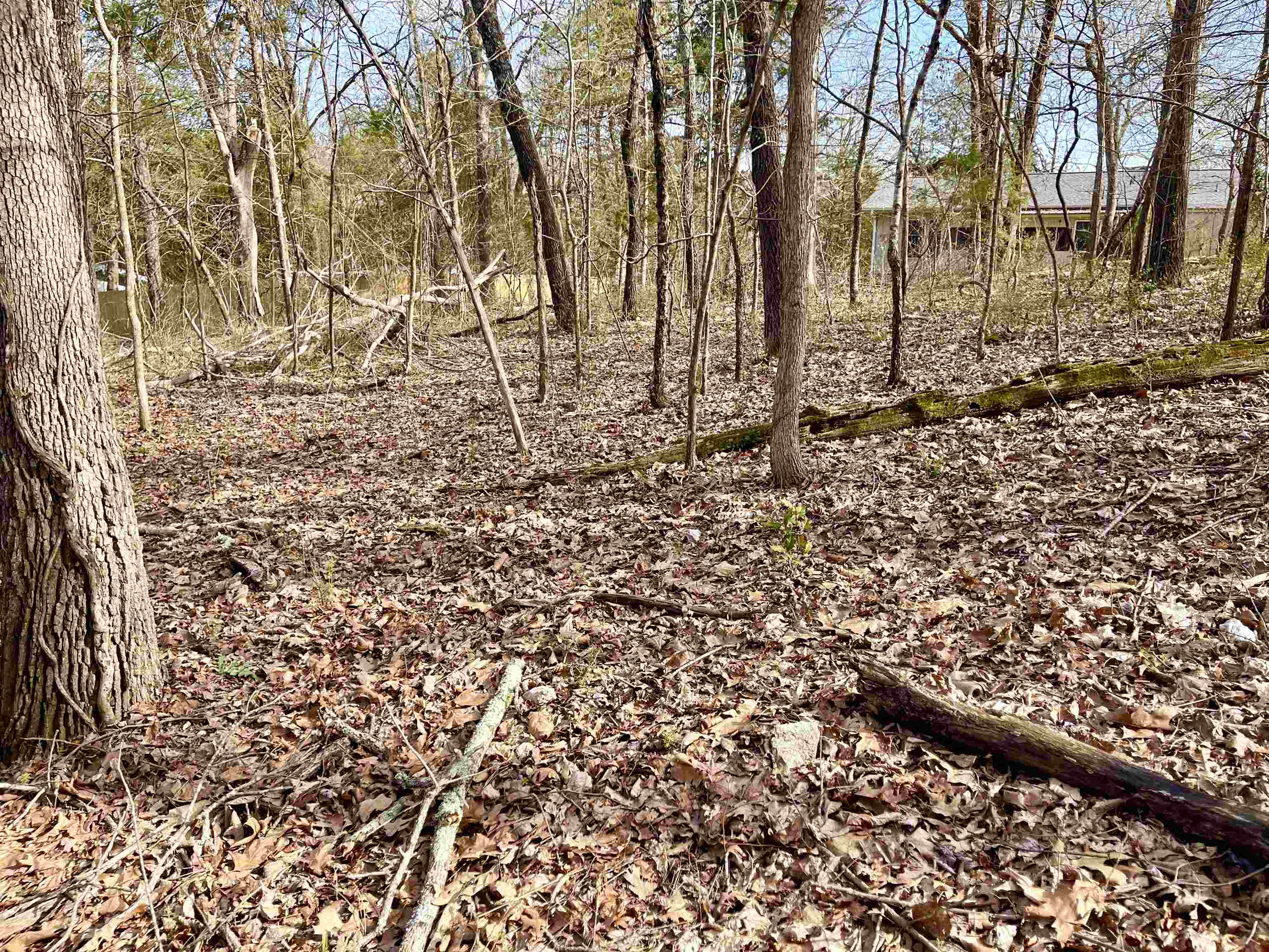 Photo 6 - Vacant Land for sale – 0  Nokomis   Cherokee Village, AR
