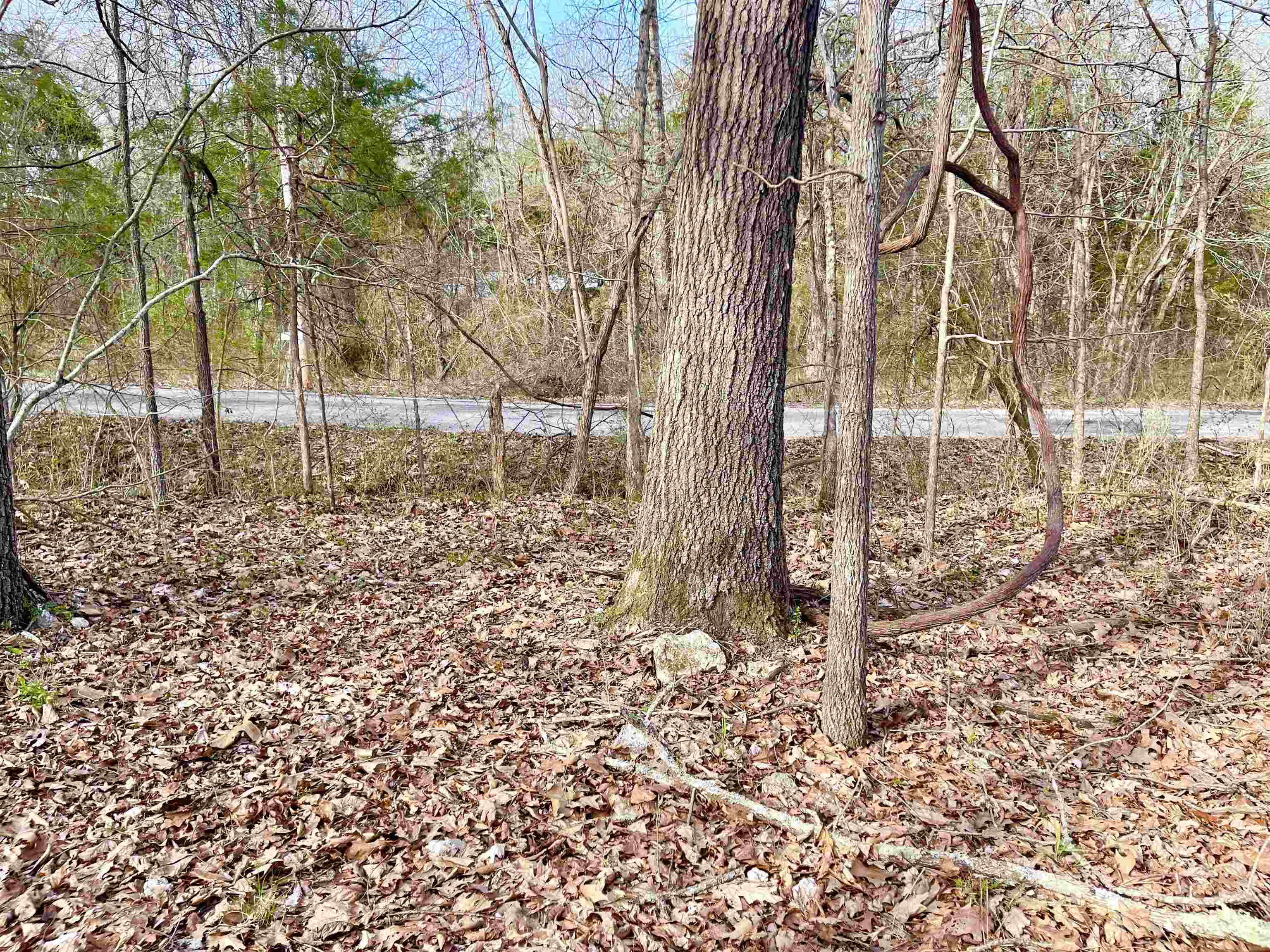 Photo 7 - Vacant Land for sale – 0  Nokomis   Cherokee Village, AR