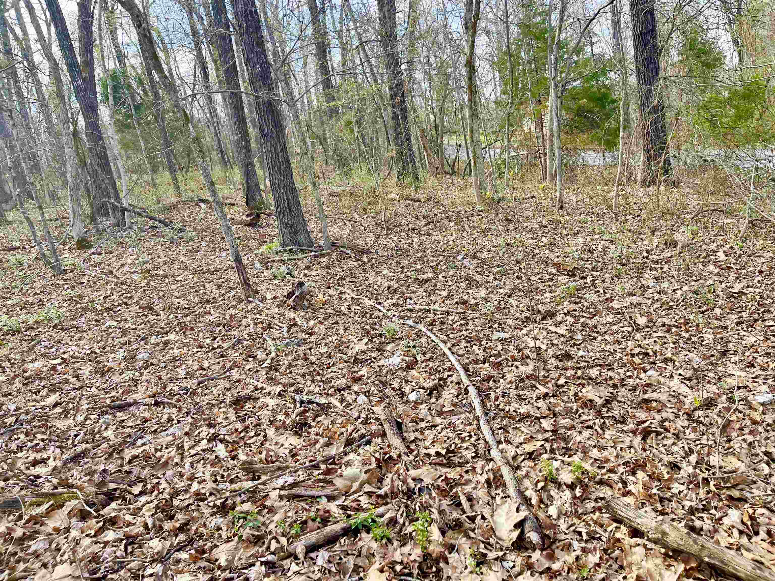 Photo 8 - Vacant Land for sale – 0  Nokomis   Cherokee Village, AR