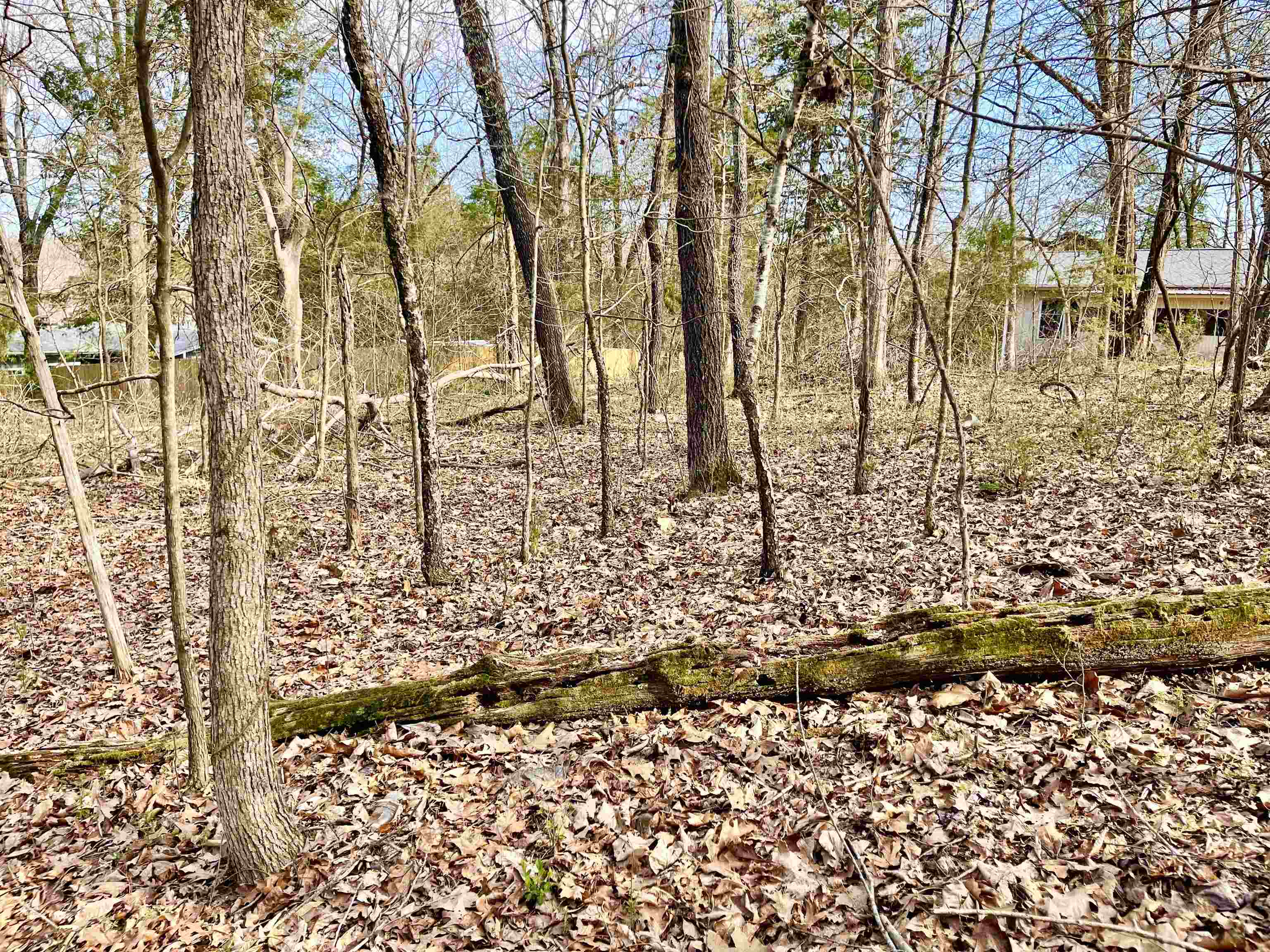 Photo 9 - Vacant Land for sale – 0  Nokomis   Cherokee Village, AR