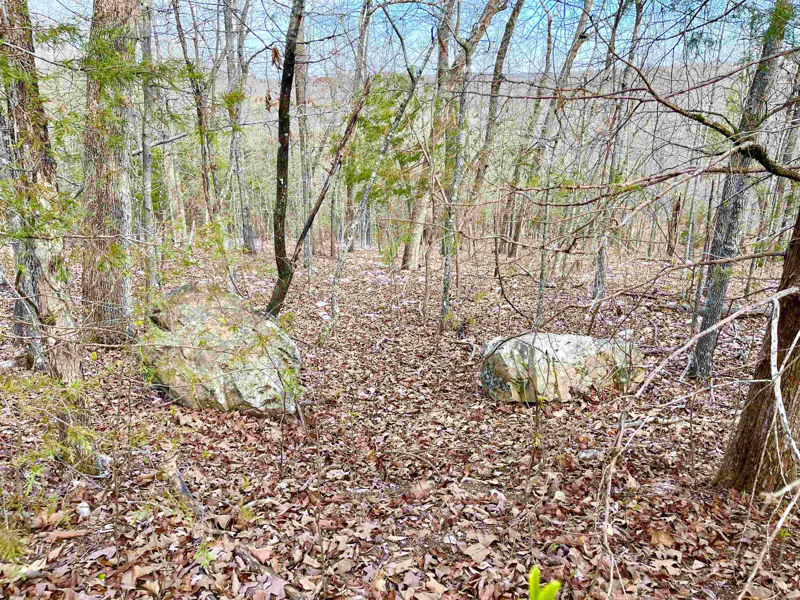 Vacant Land for sale – 0  Coweta   Cherokee Village, AR