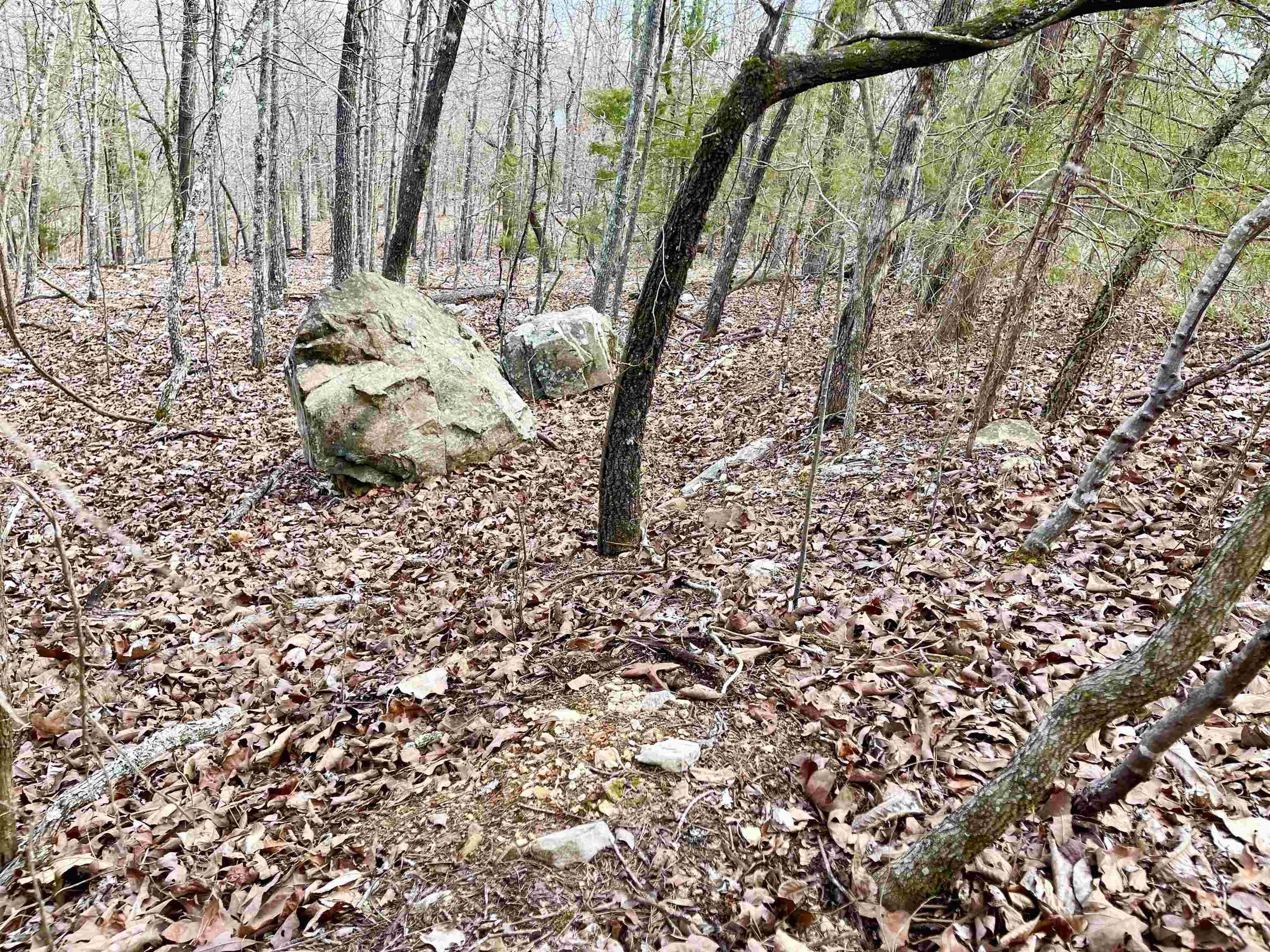 Photo 11 - Vacant Land for sale – 0  Coweta   Cherokee Village, AR