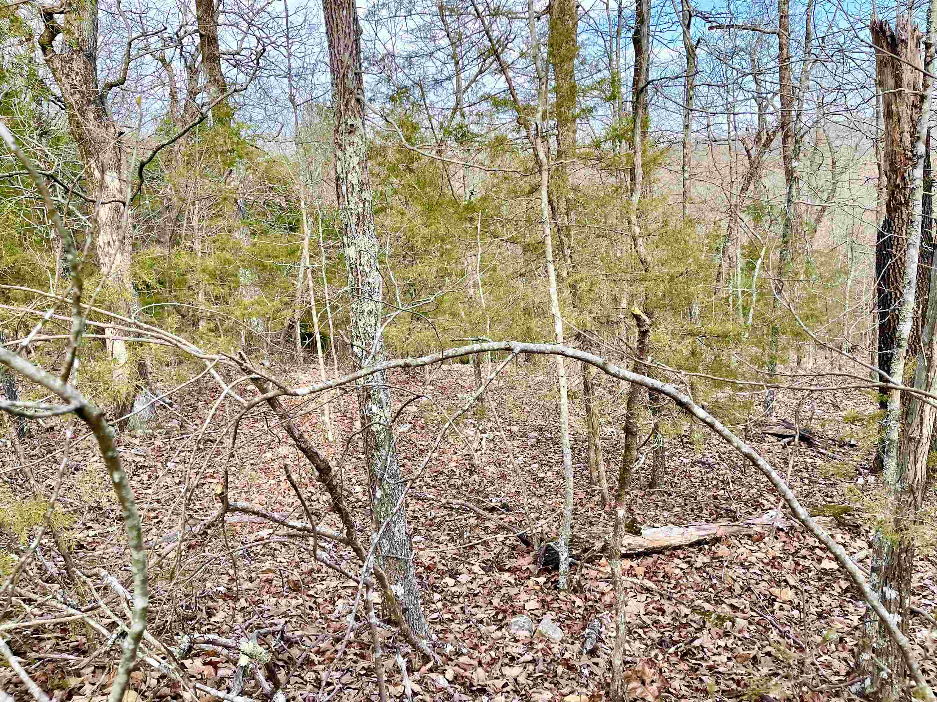 Photo 11 - Vacant Land for sale – 0  Coweta   Cherokee Village, AR