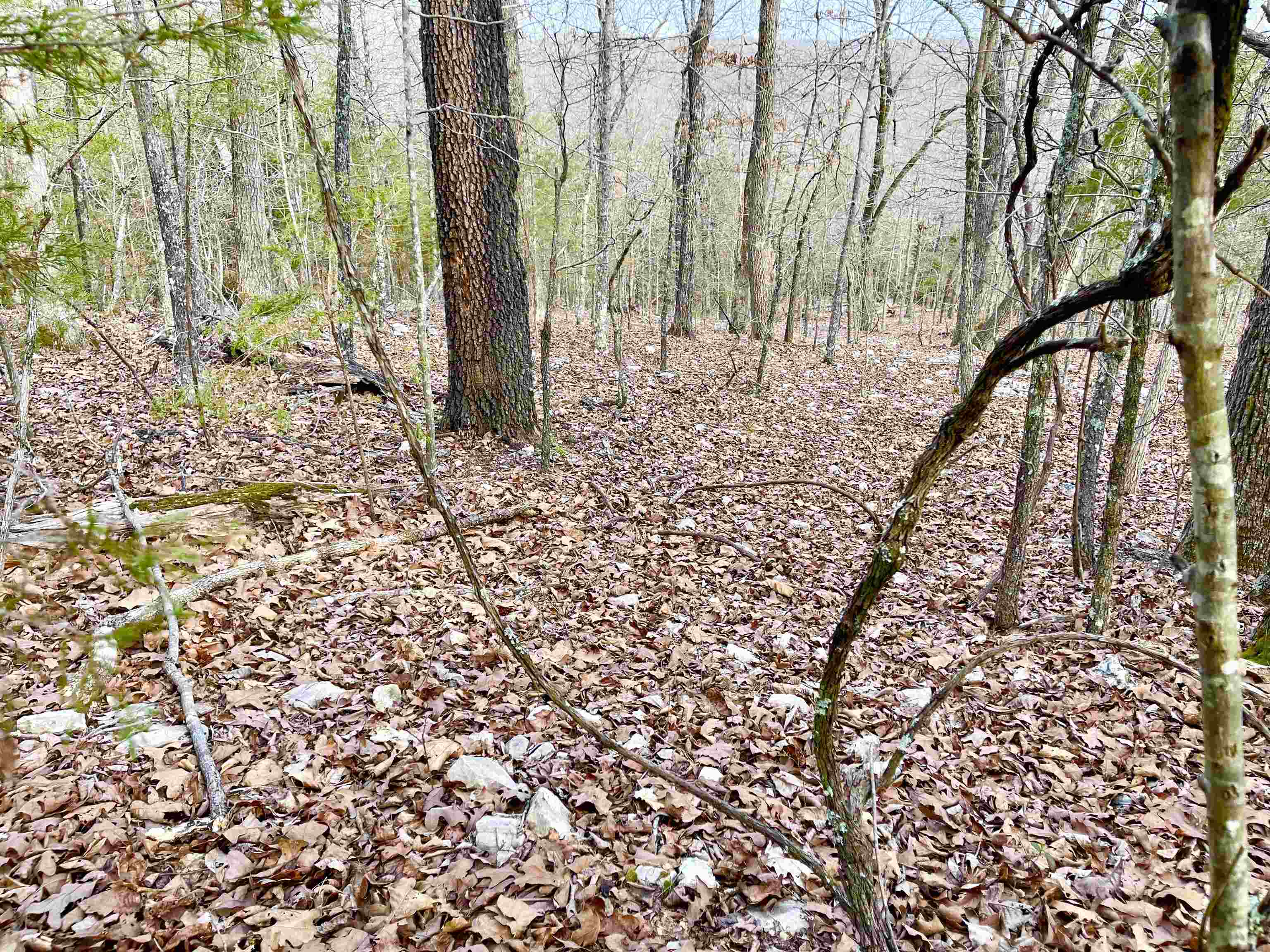 Photo 12 - Vacant Land for sale – 0  Coweta   Cherokee Village, AR