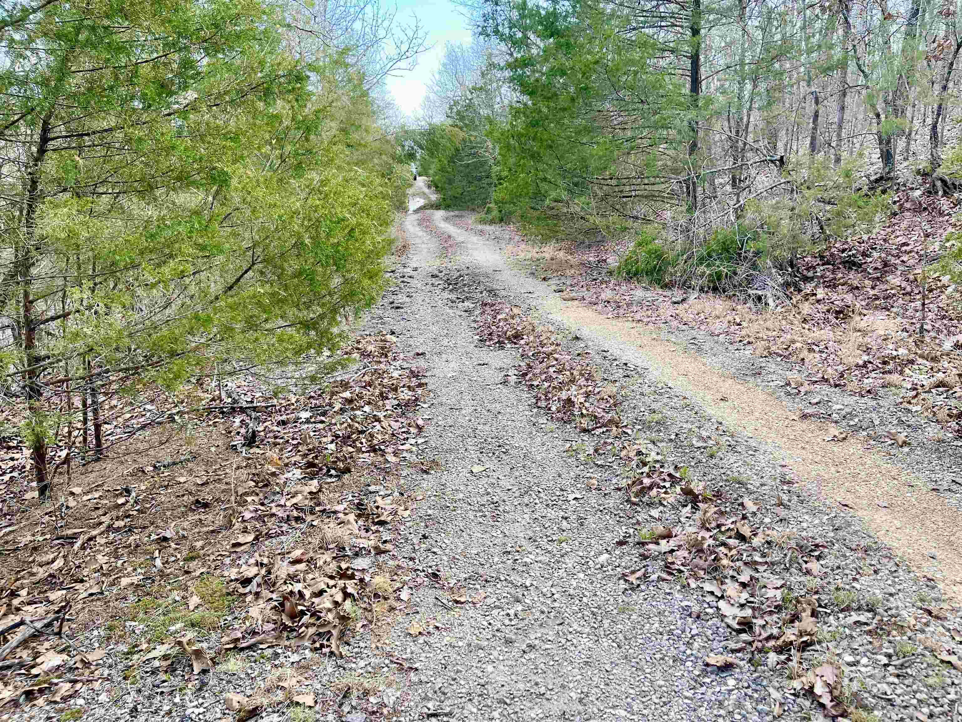 Photo 3 - Vacant Land for sale – 0  Coweta   Cherokee Village, AR
