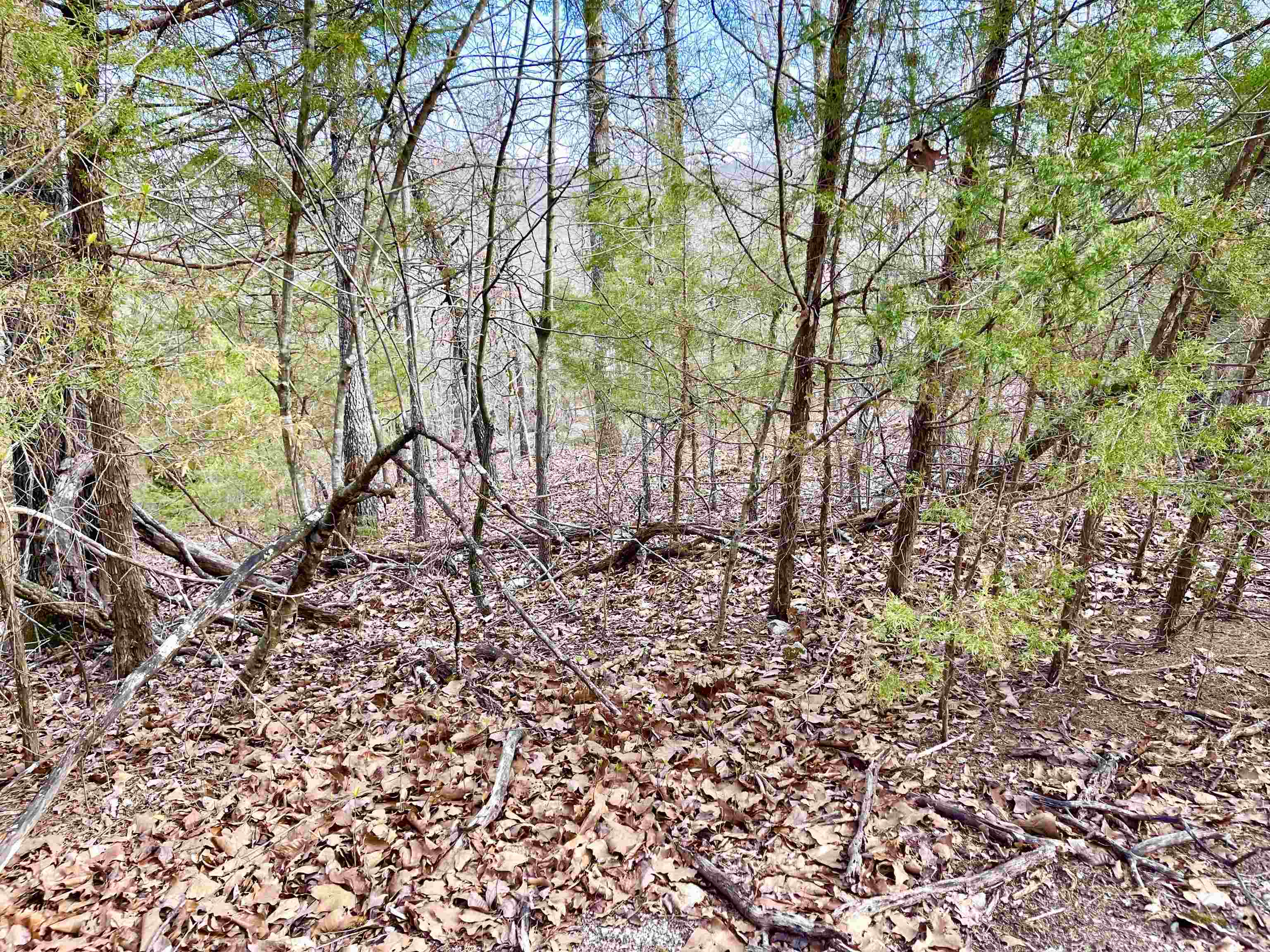 Photo 4 - Vacant Land for sale – 0  Coweta   Cherokee Village, AR