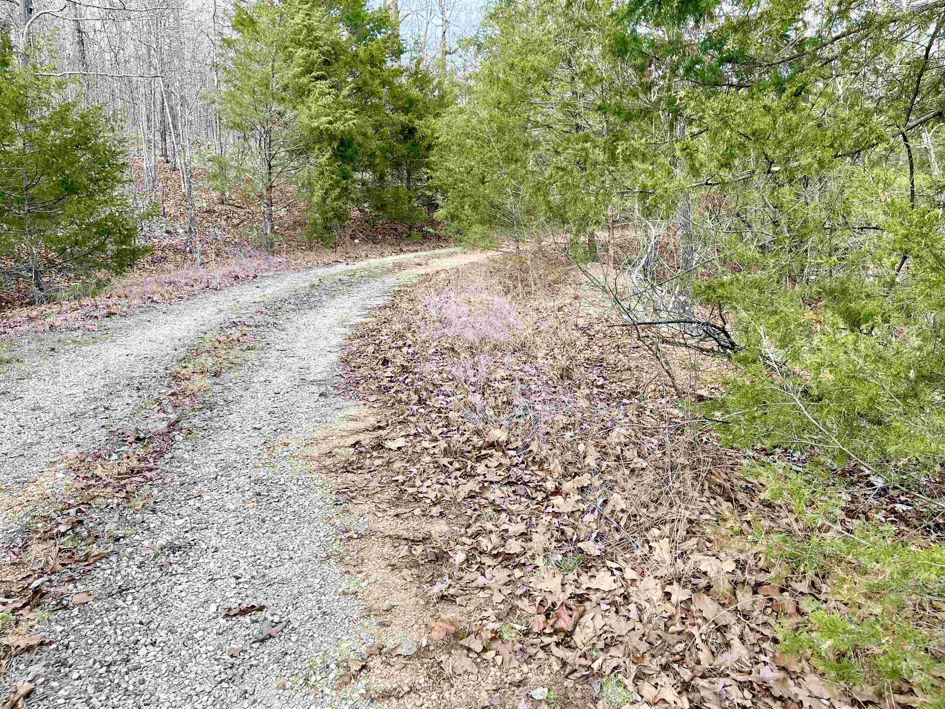 Photo 4 - Vacant Land for sale – 0  Coweta   Cherokee Village, AR