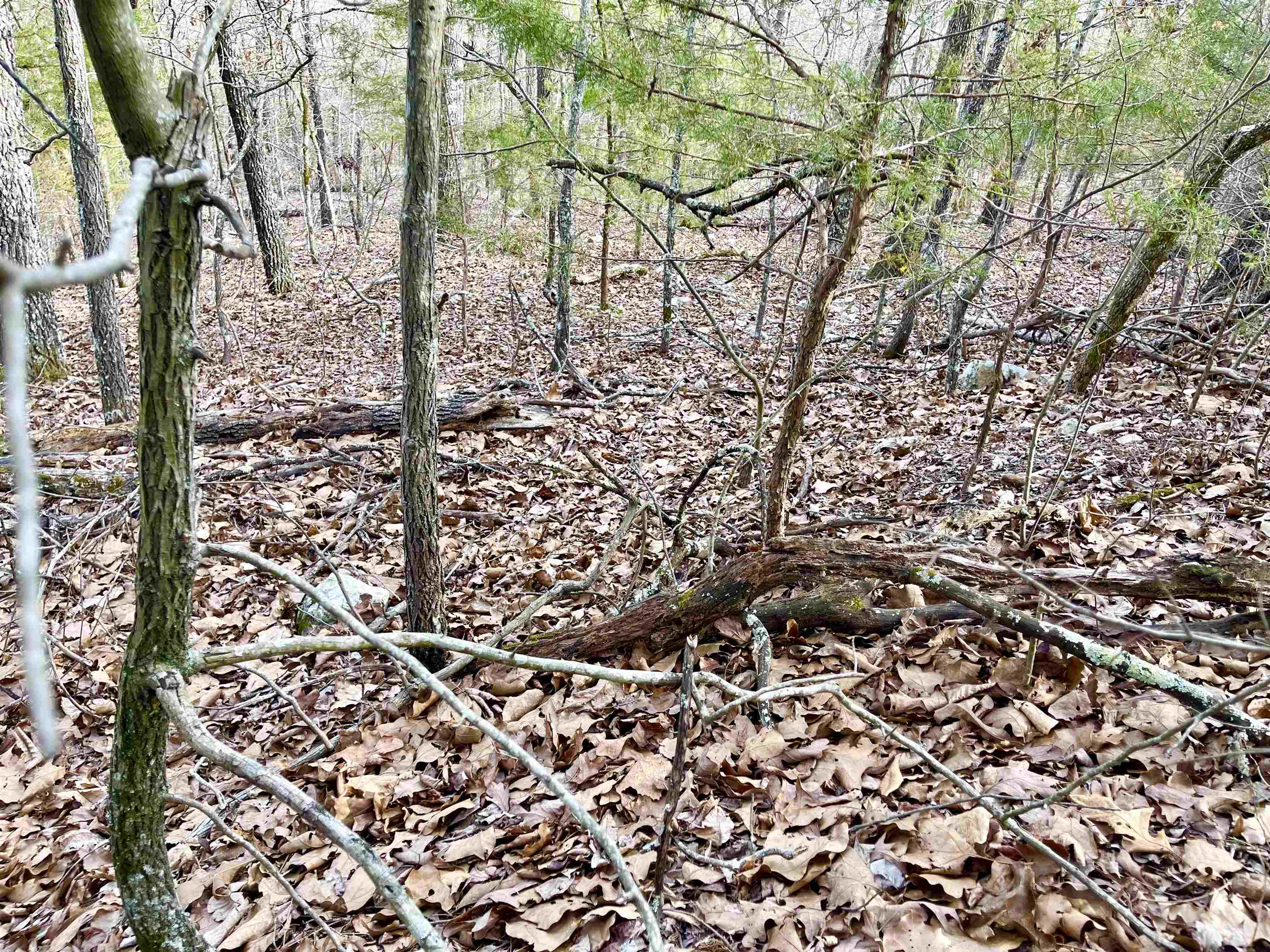 Photo 5 - Vacant Land for sale – 0  Coweta   Cherokee Village, AR