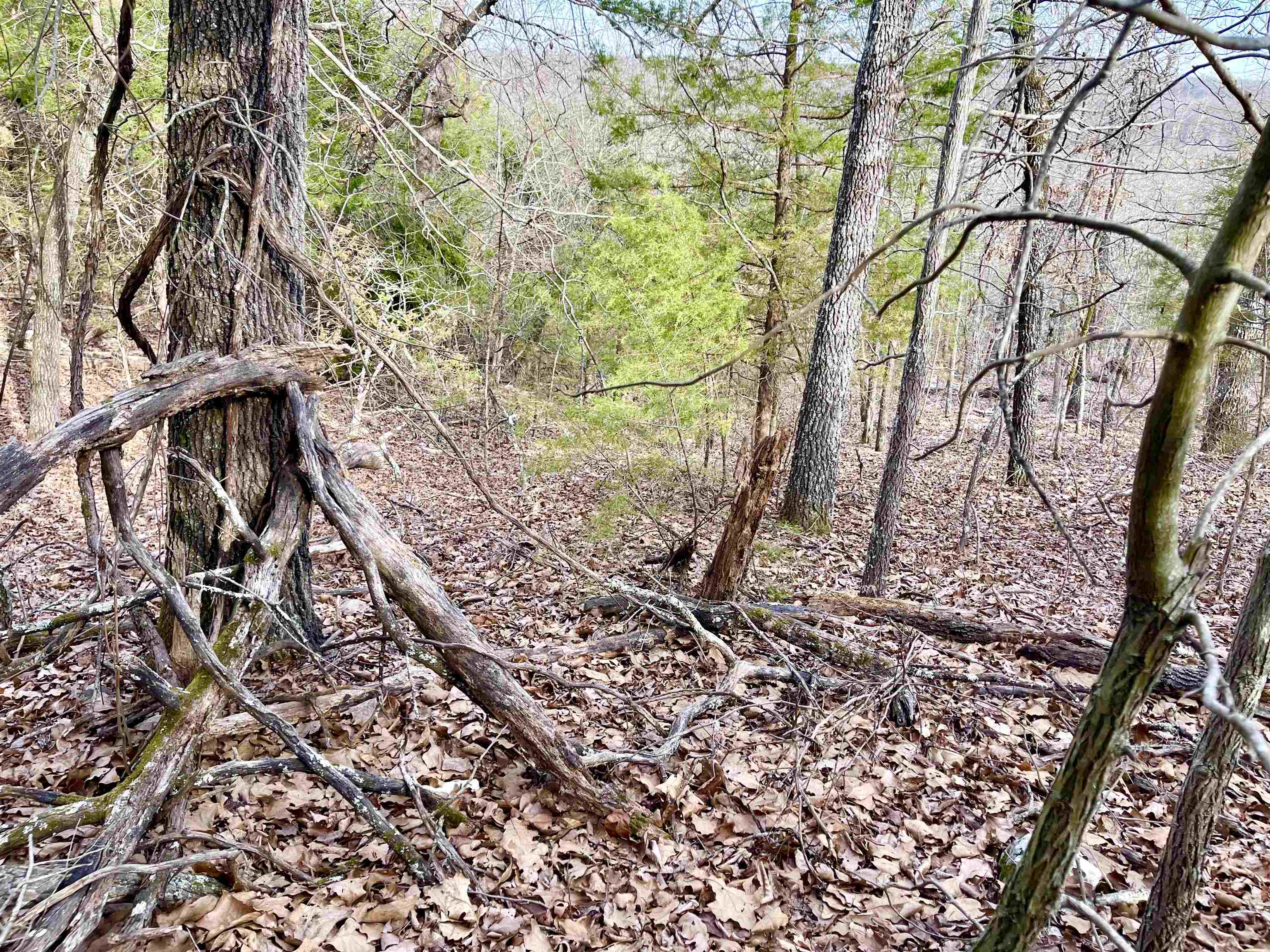 Photo 6 - Vacant Land for sale – 0  Coweta   Cherokee Village, AR