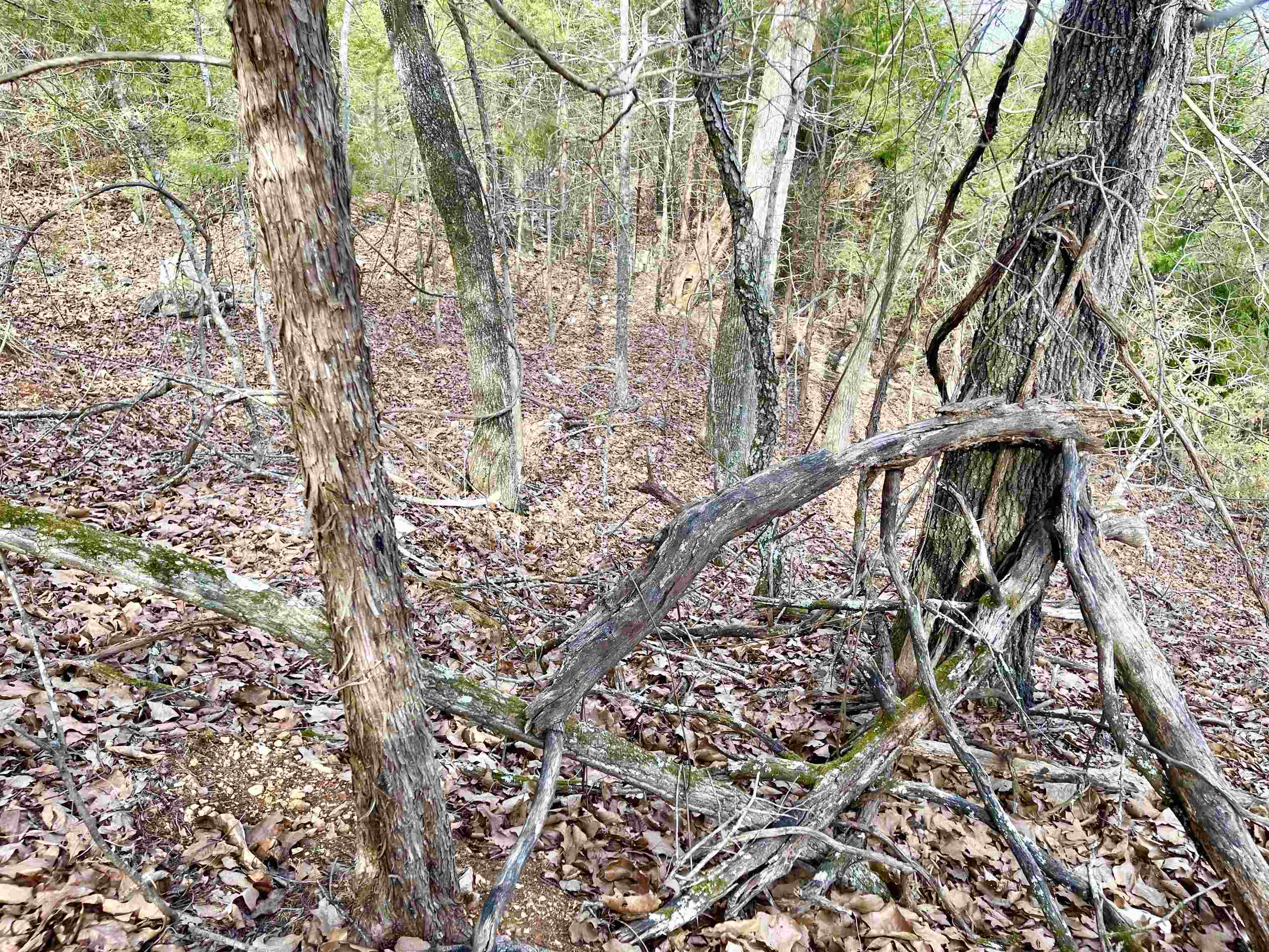 Photo 7 - Vacant Land for sale – 0  Coweta   Cherokee Village, AR