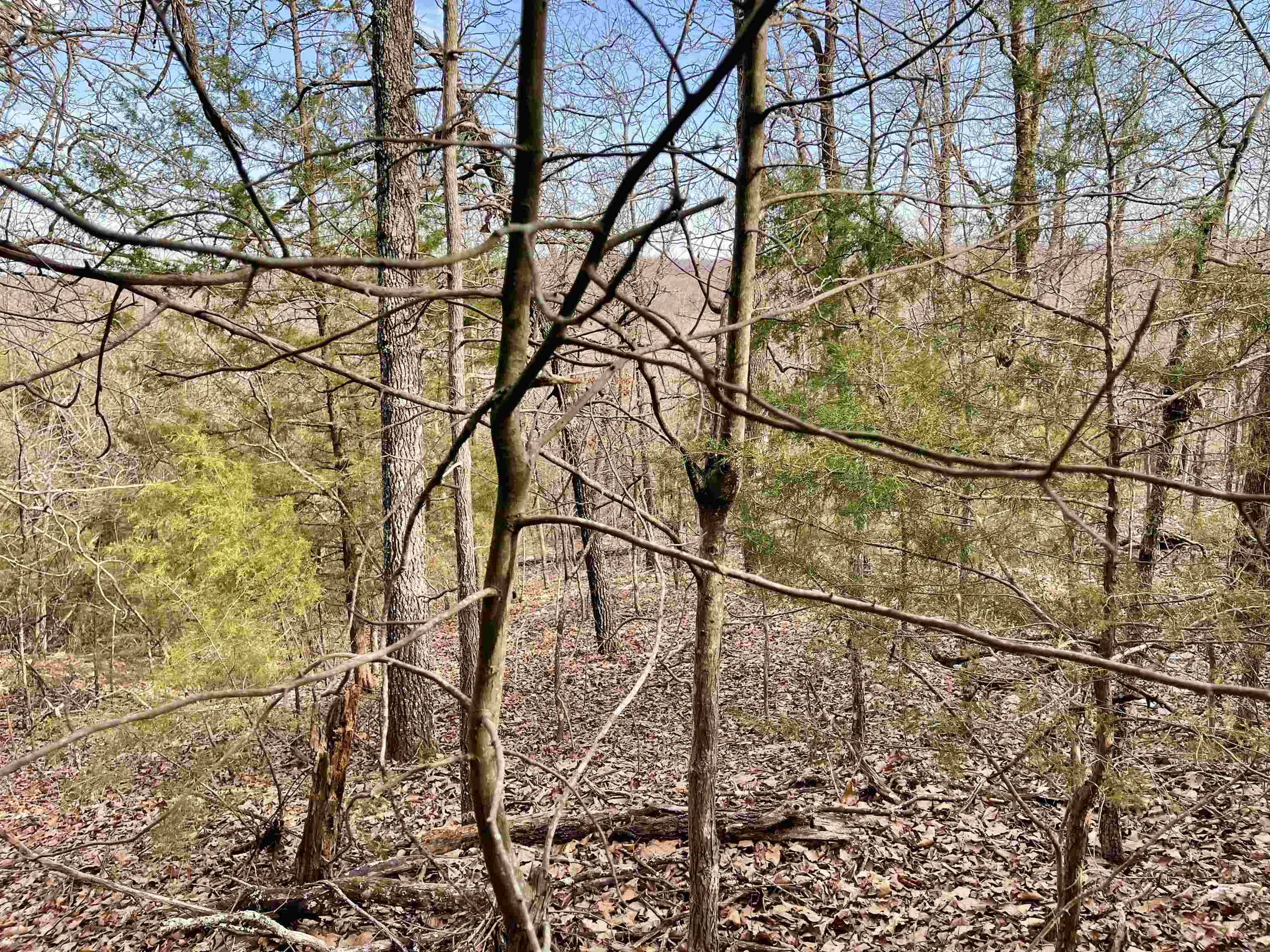 Photo 8 - Vacant Land for sale – 0  Coweta   Cherokee Village, AR
