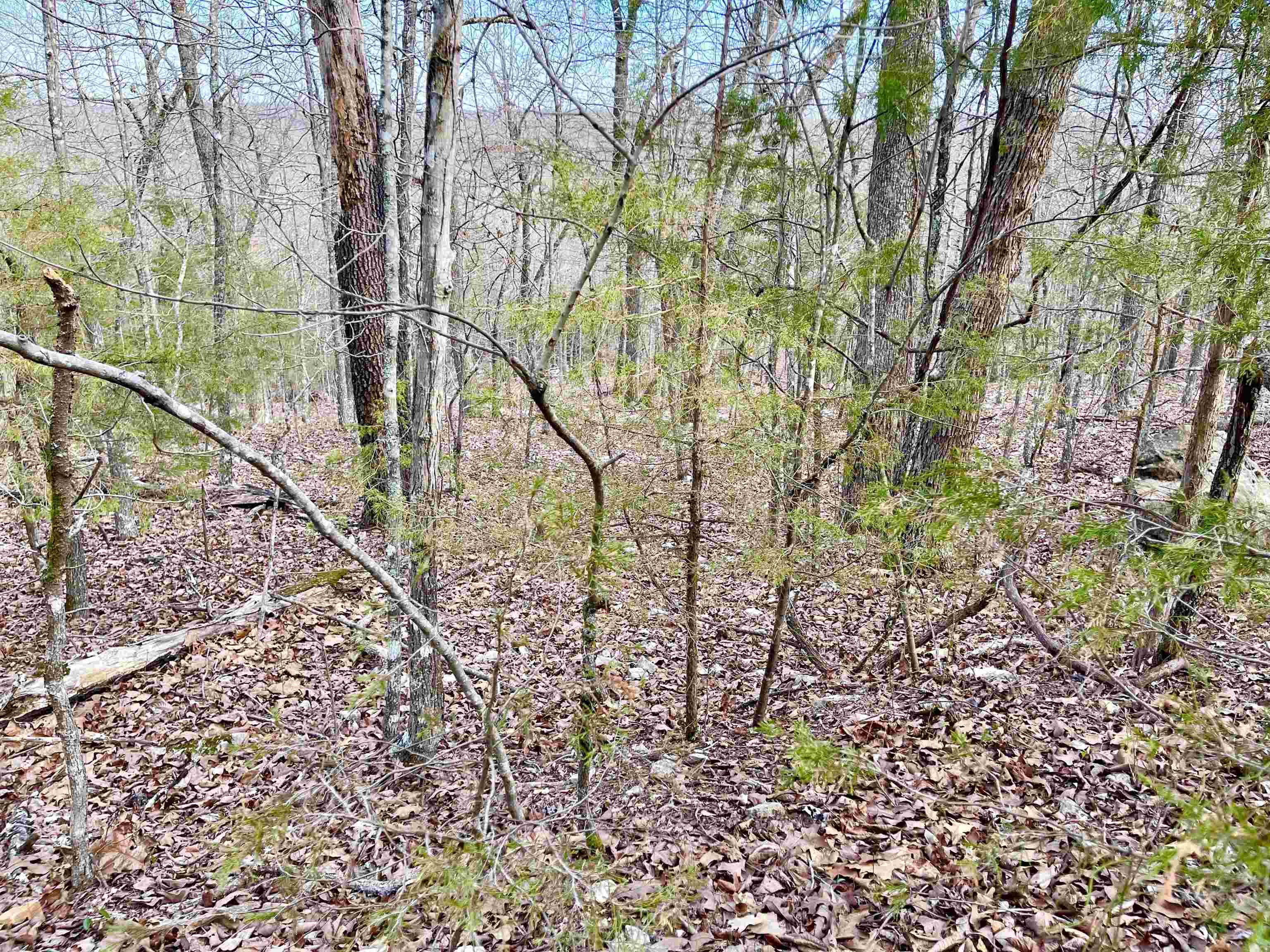 Photo 9 - Vacant Land for sale – 0  Coweta   Cherokee Village, AR