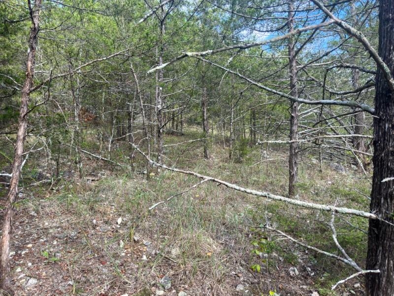 Photo 12 - Vacant Land for sale – 000  San Juan   Cherokee Village, AR