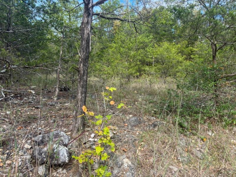 Photo 13 - Vacant Land for sale – 000  San Juan   Cherokee Village, AR