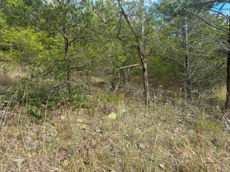 Photo 15 - Vacant Land for sale – 000  San Juan   Cherokee Village, AR