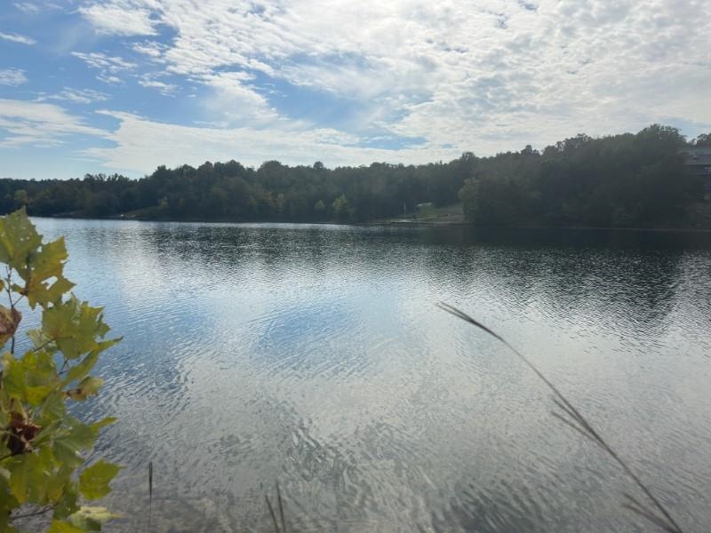 Photo 3 - Vacant Land for sale – 000  San Juan   Cherokee Village, AR